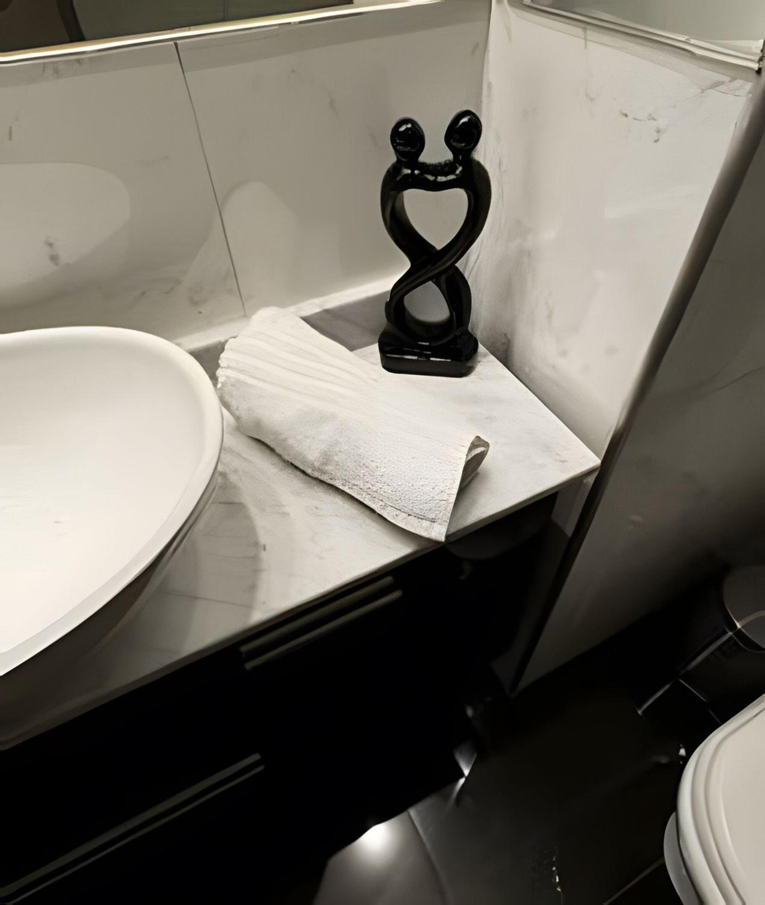 Luxury Apartment in Recoleta