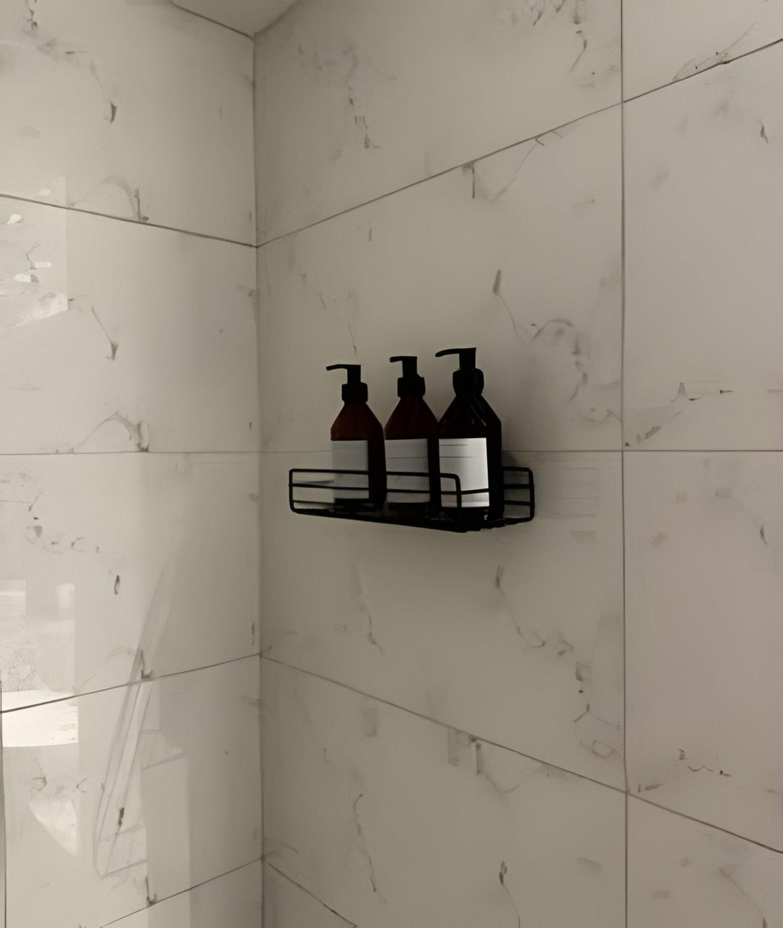Luxury Apartment in Recoleta