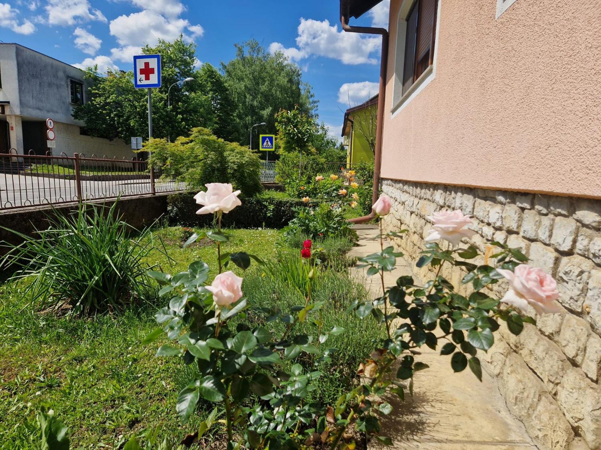 Photo 25