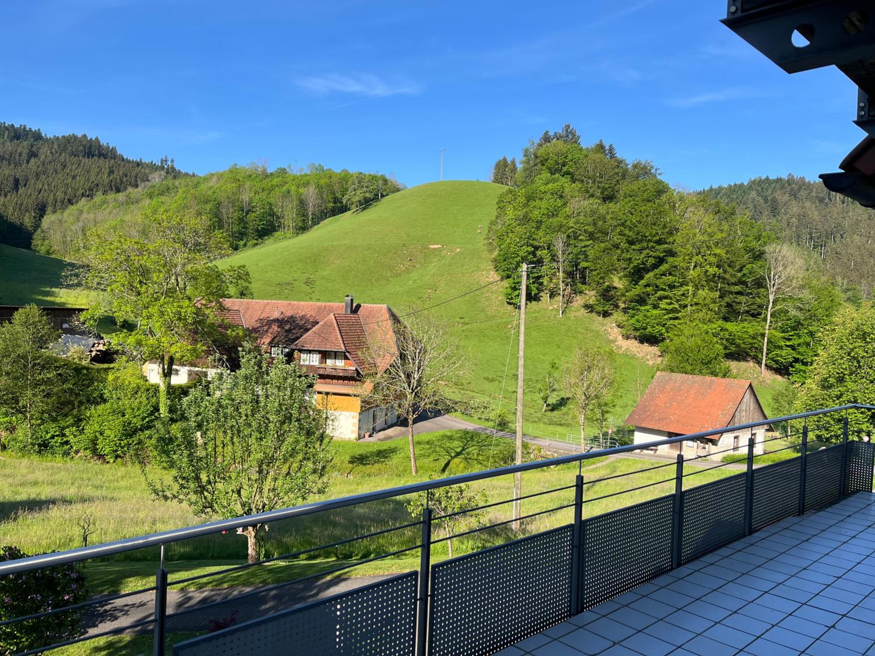 Ferienwohnung-Blume EG 2 view 4