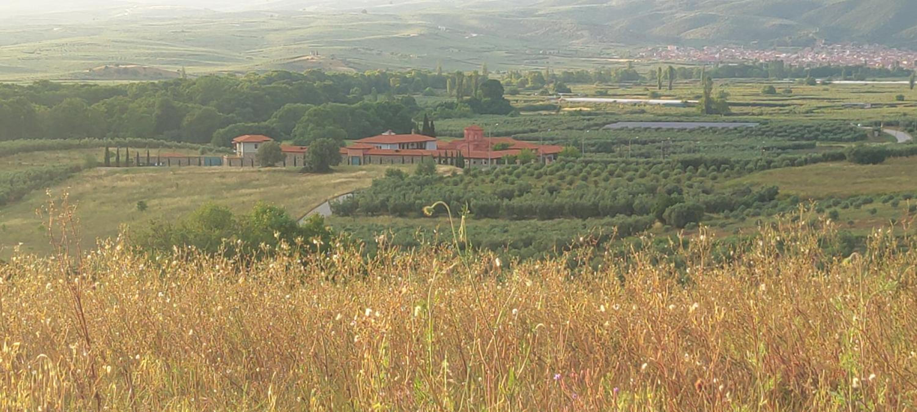 Sitholia Apartment Vatopedi