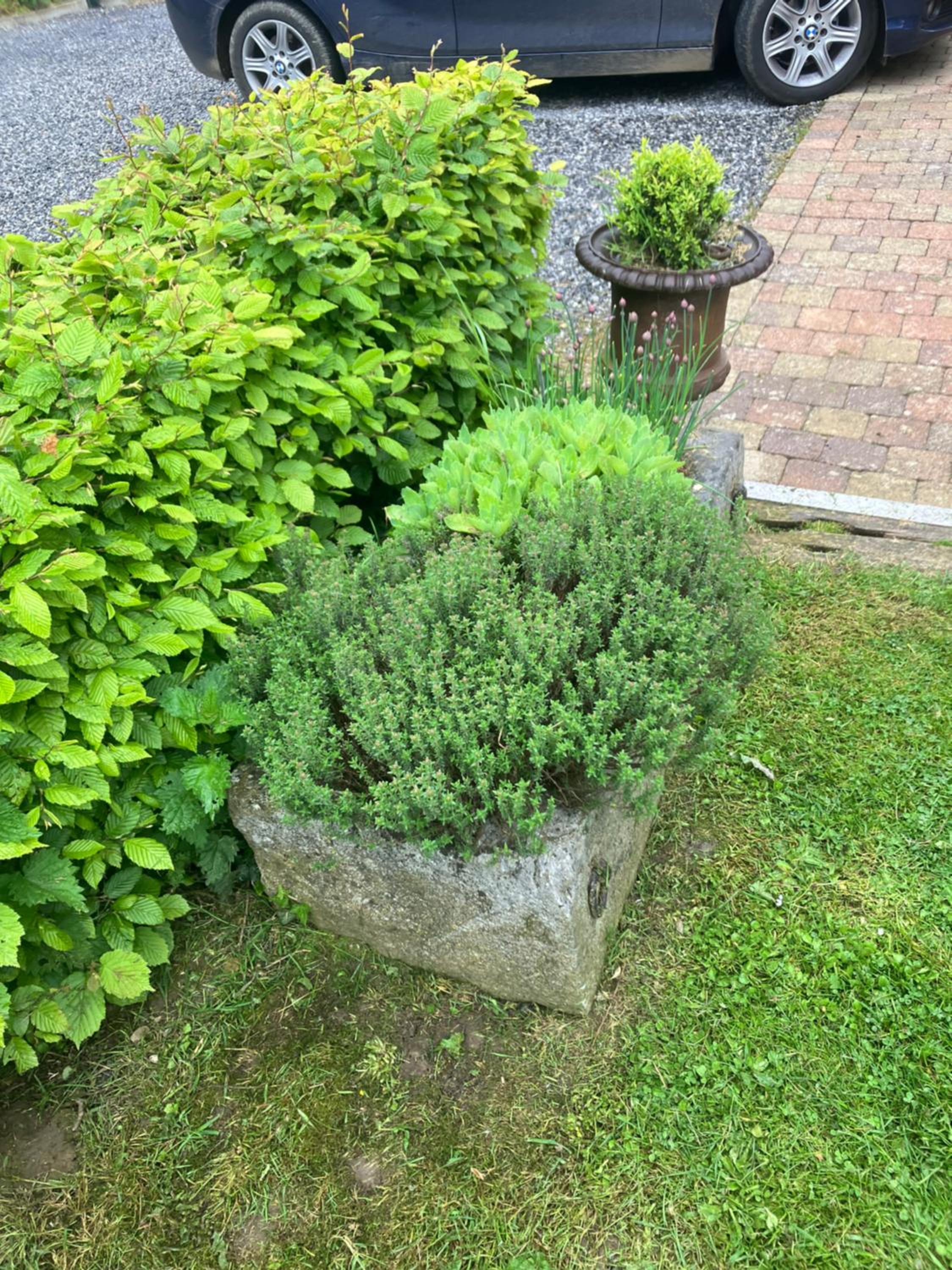 Maison et son jardin situés dans le Condroz