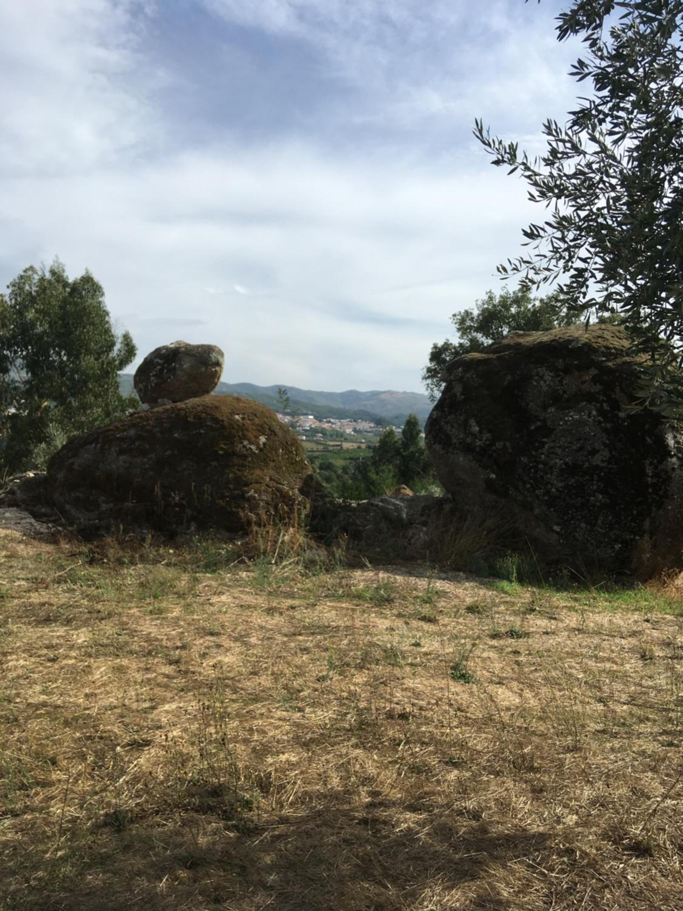 Arpuro