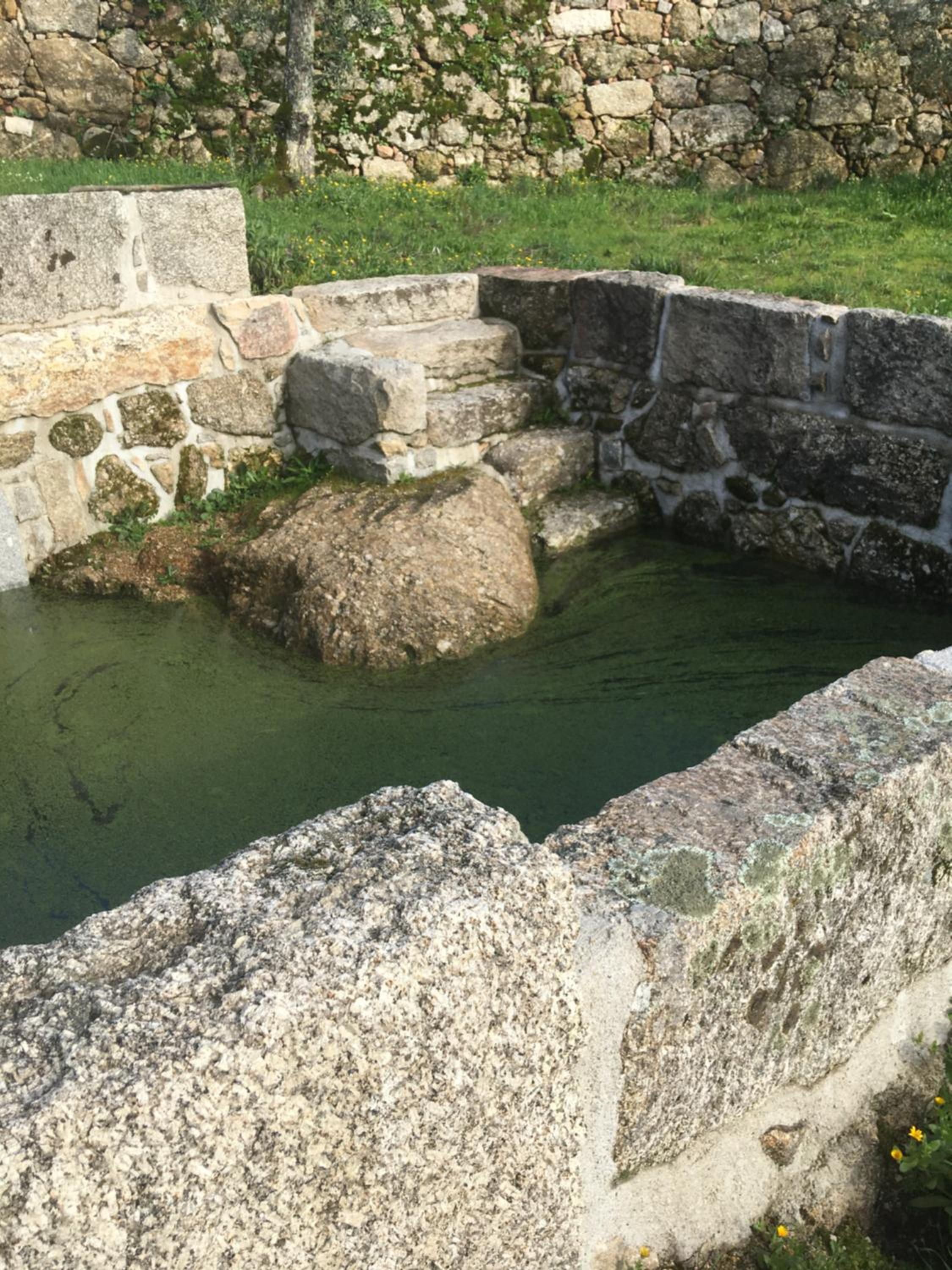 Arpuro