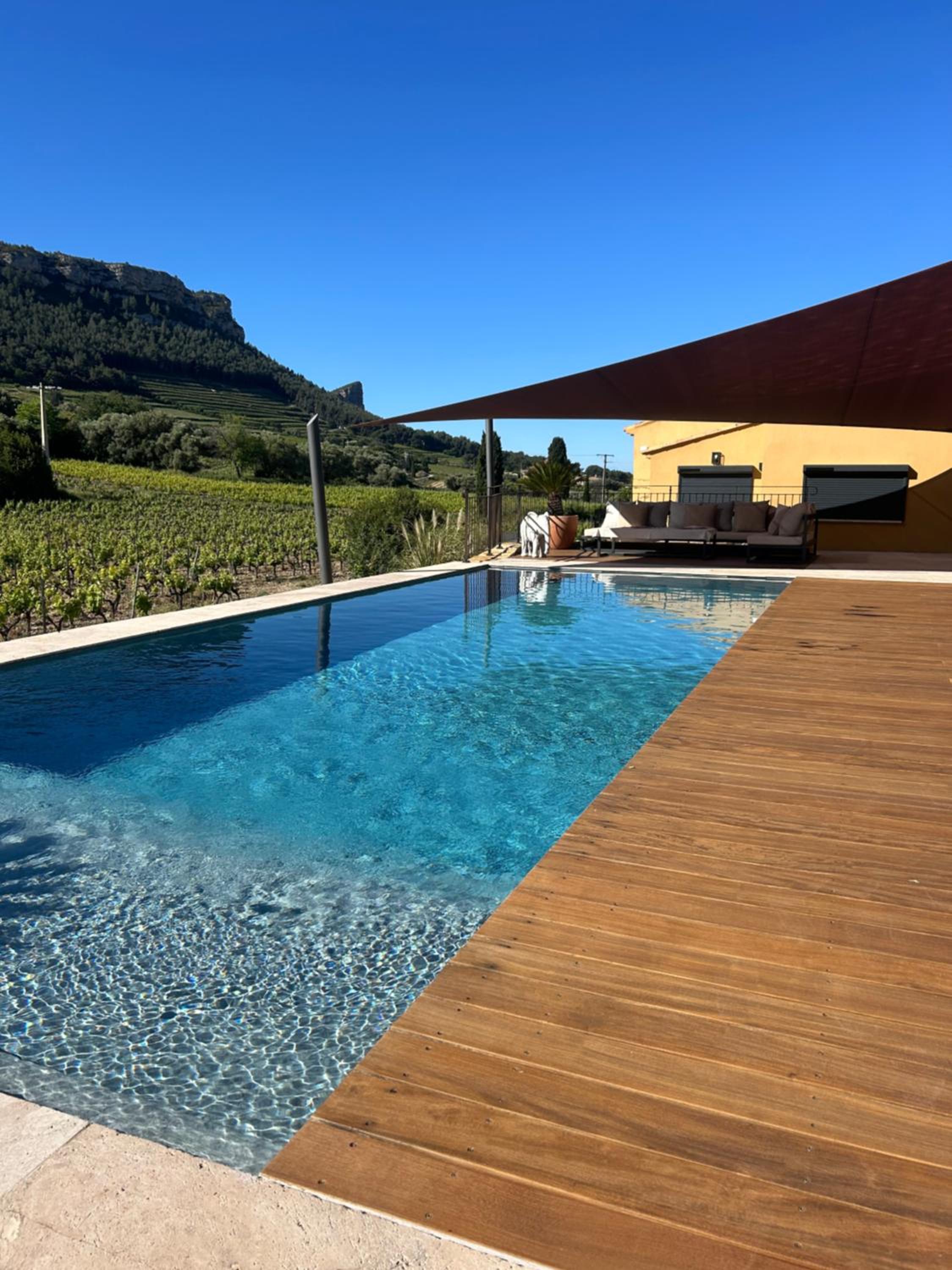Côté vignes cassis, photo 12