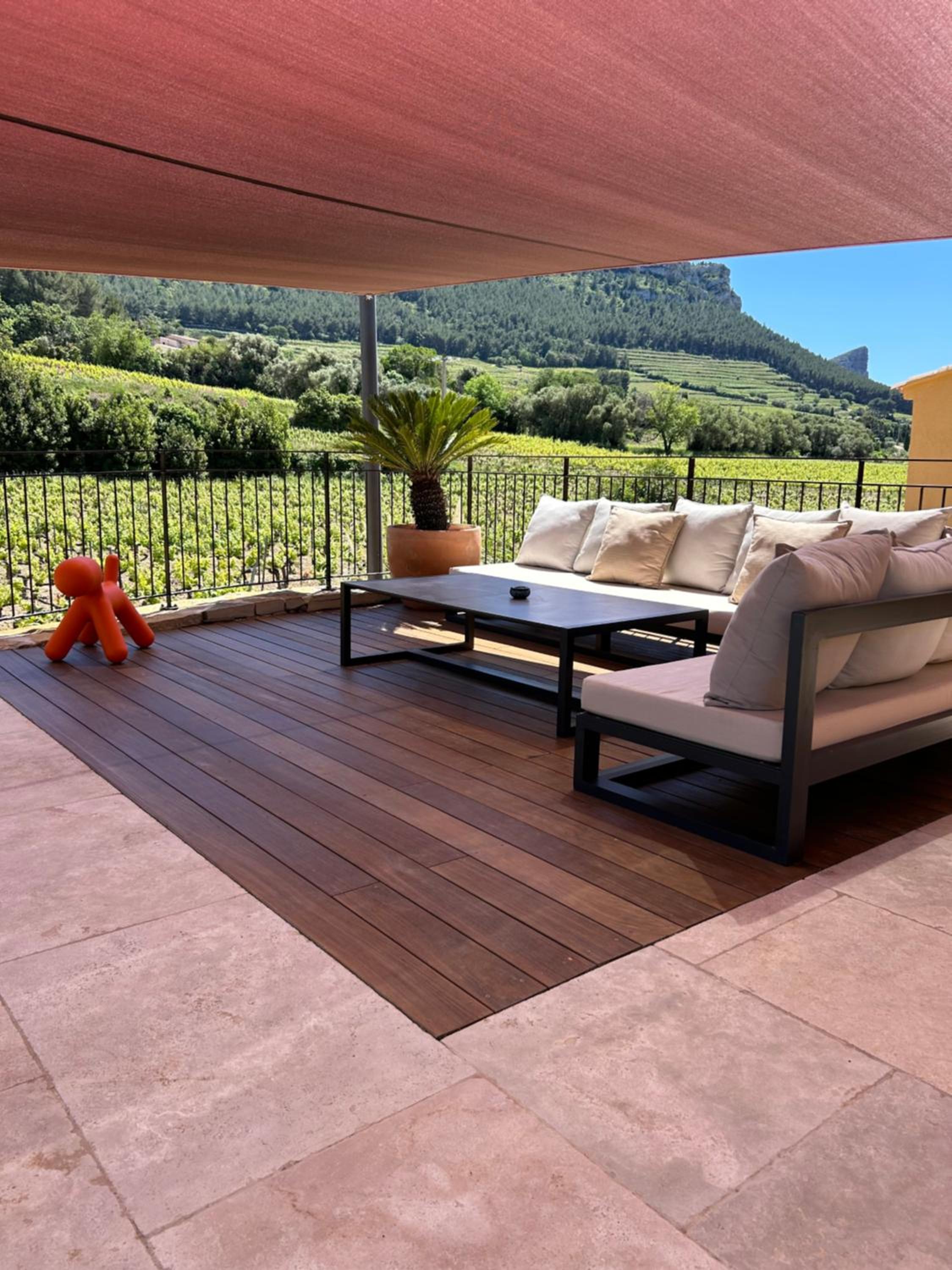Côté vignes cassis, photo 17