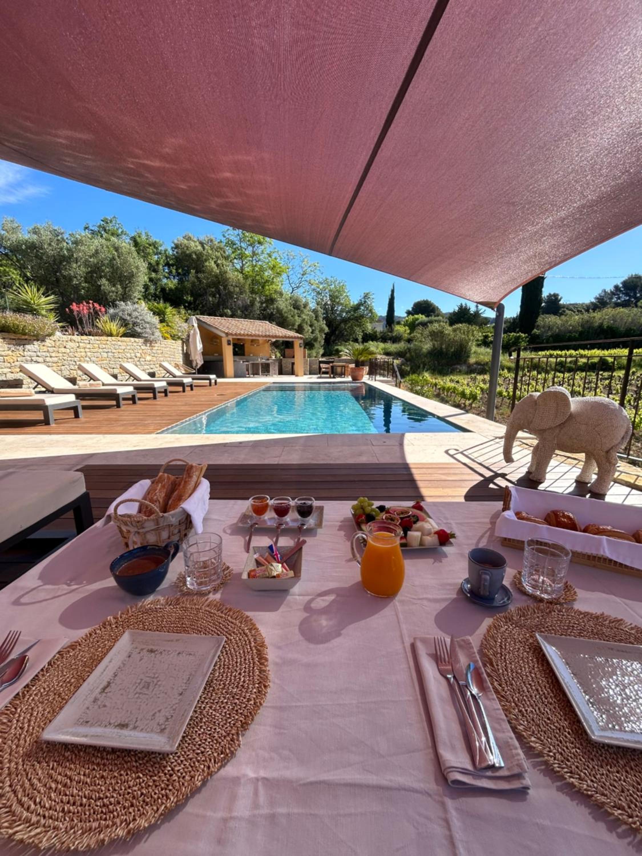 Côté vignes cassis, photo 11