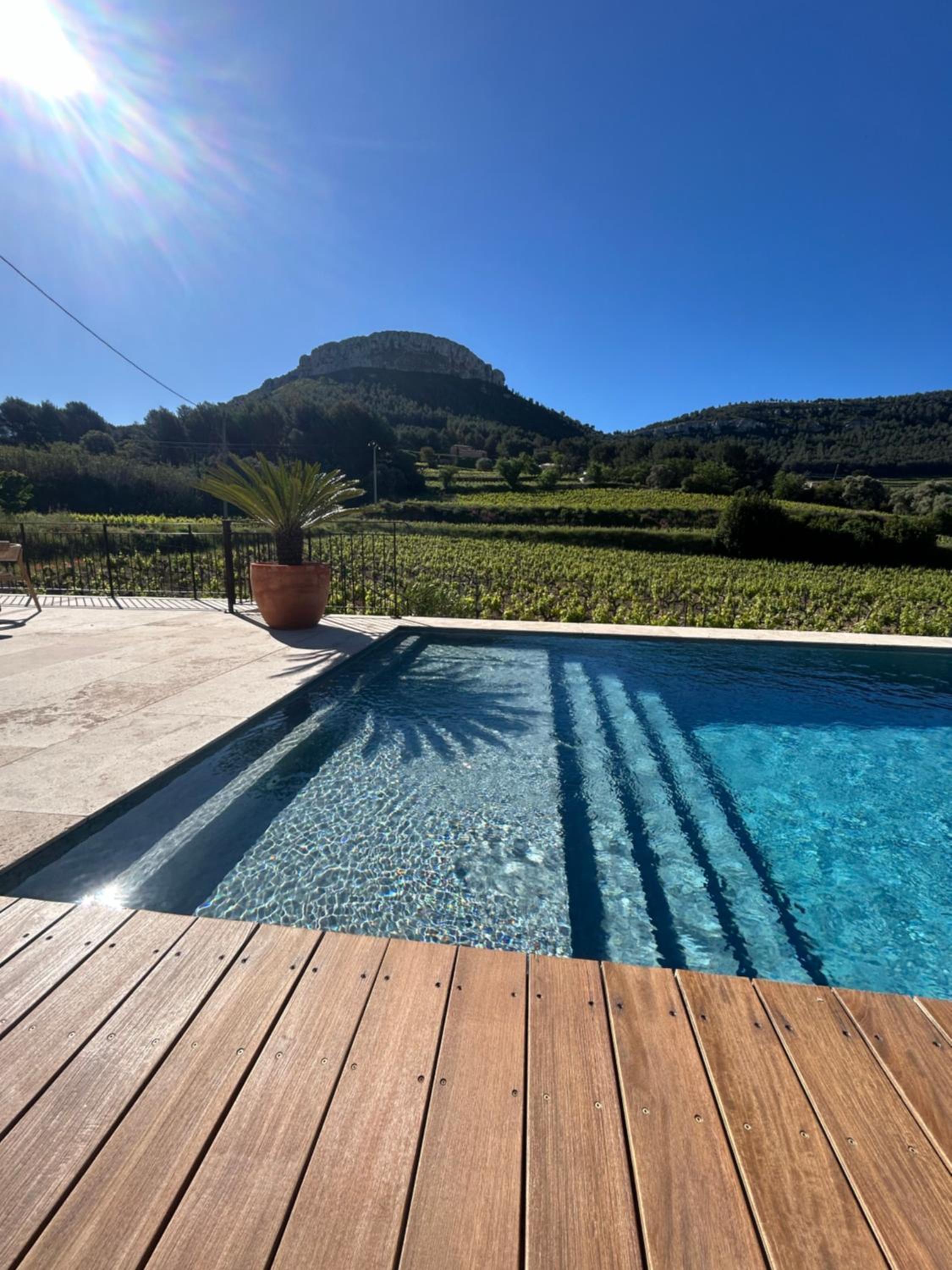 Côté vignes cassis, photo 21