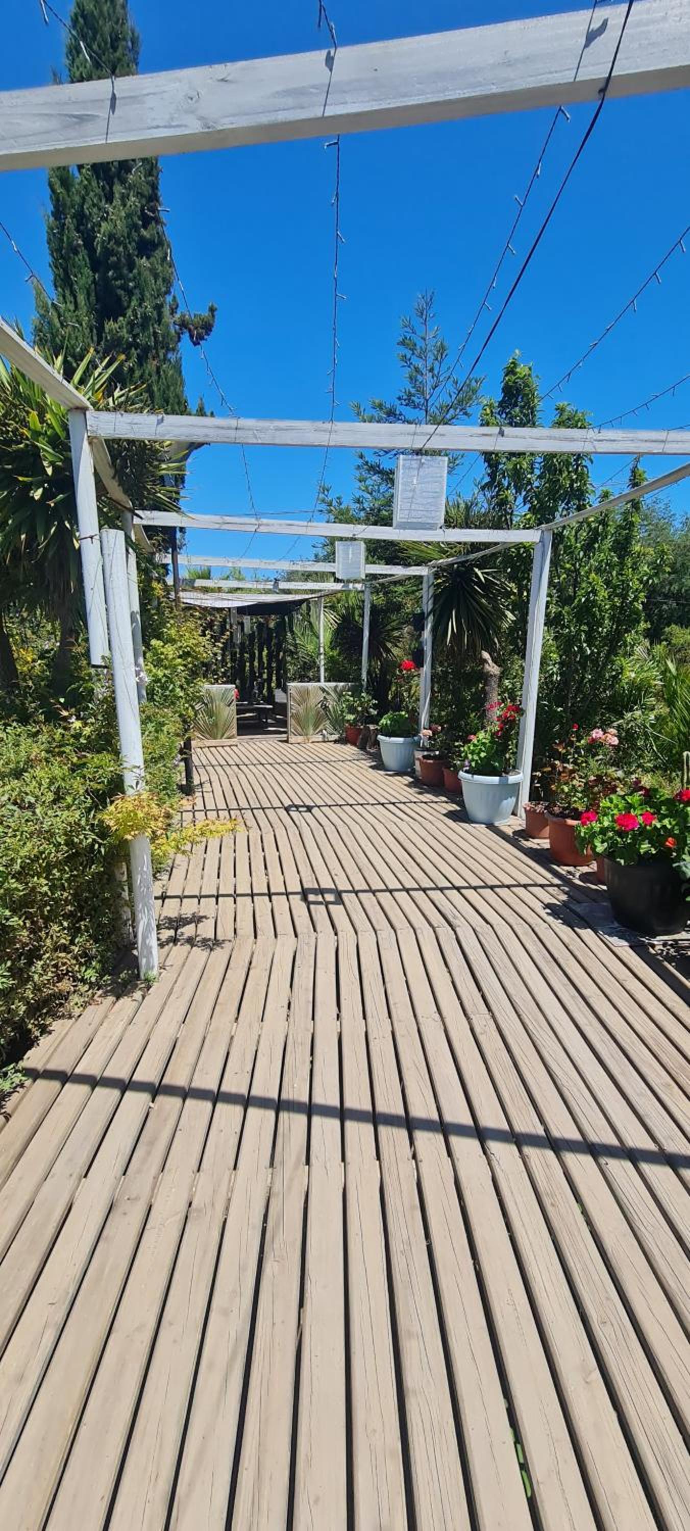 Cabañas Jardines de Quivolgo