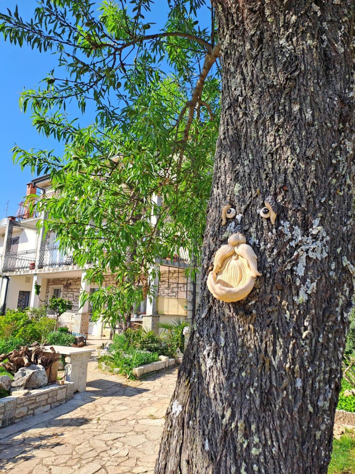 Photo 21