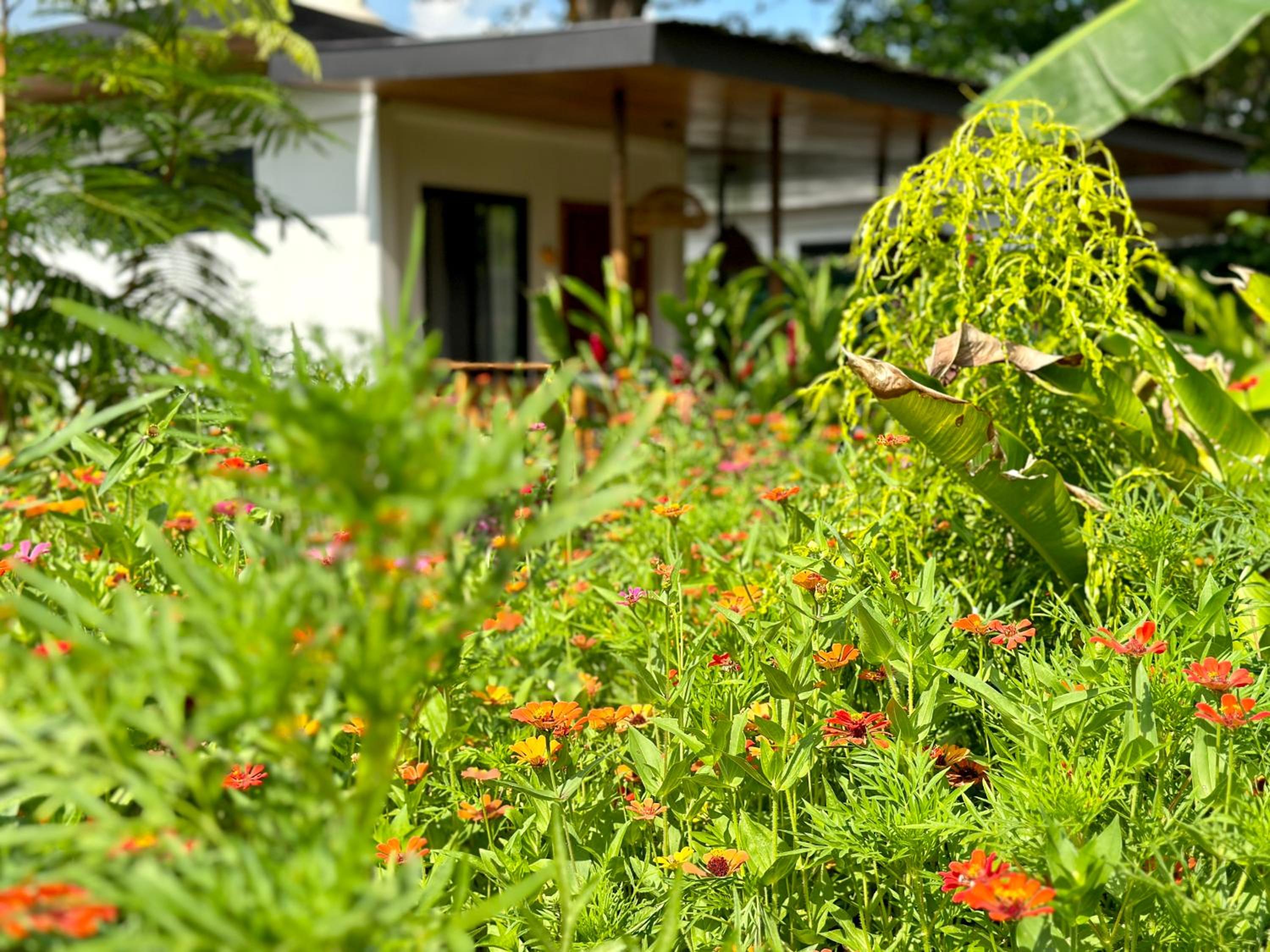Almendros Eco-Villas