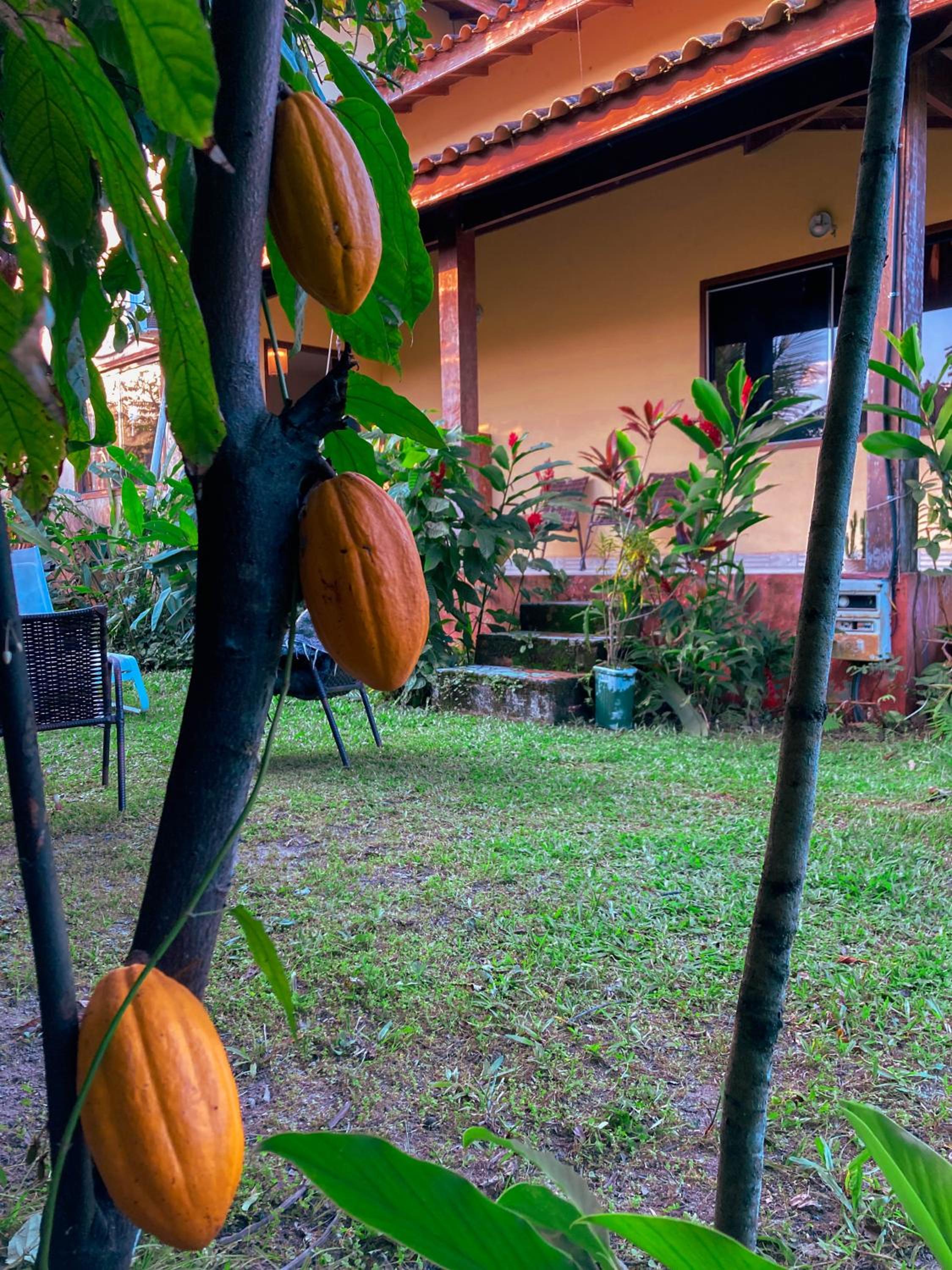 Casa perto da praia