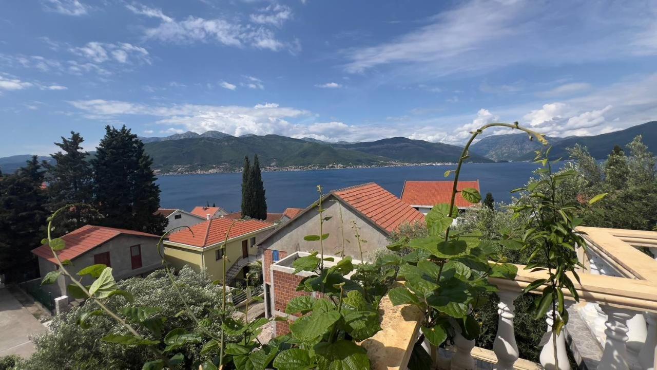 Apartments Arina