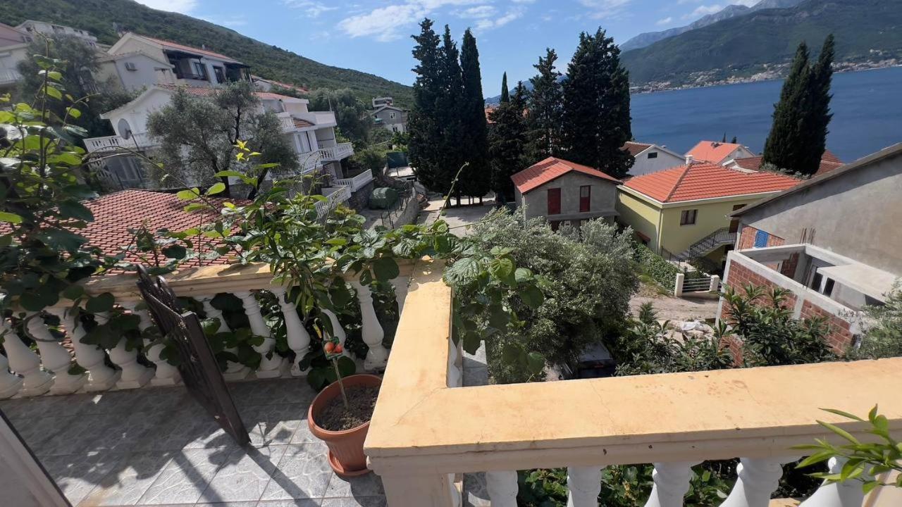 Apartments Arina