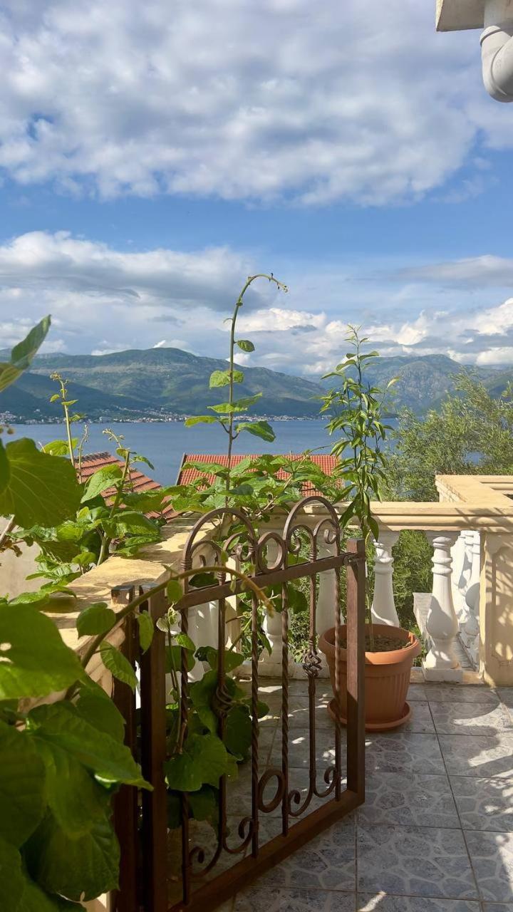 Apartments Arina