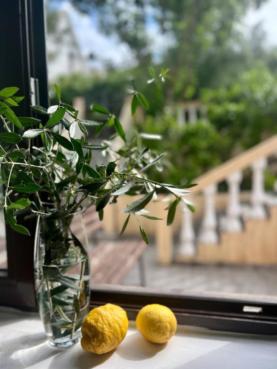 Apartments Arina photo 3