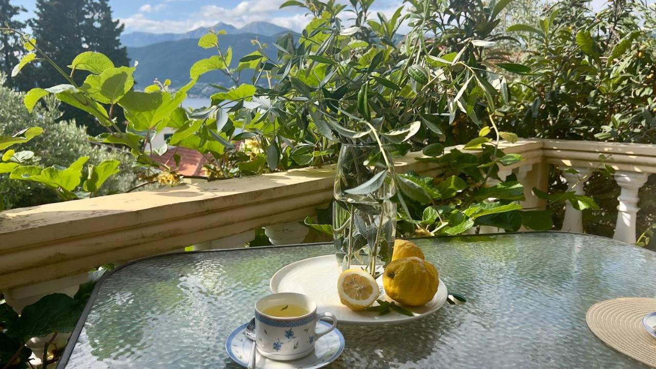 Apartments Arina photo 2