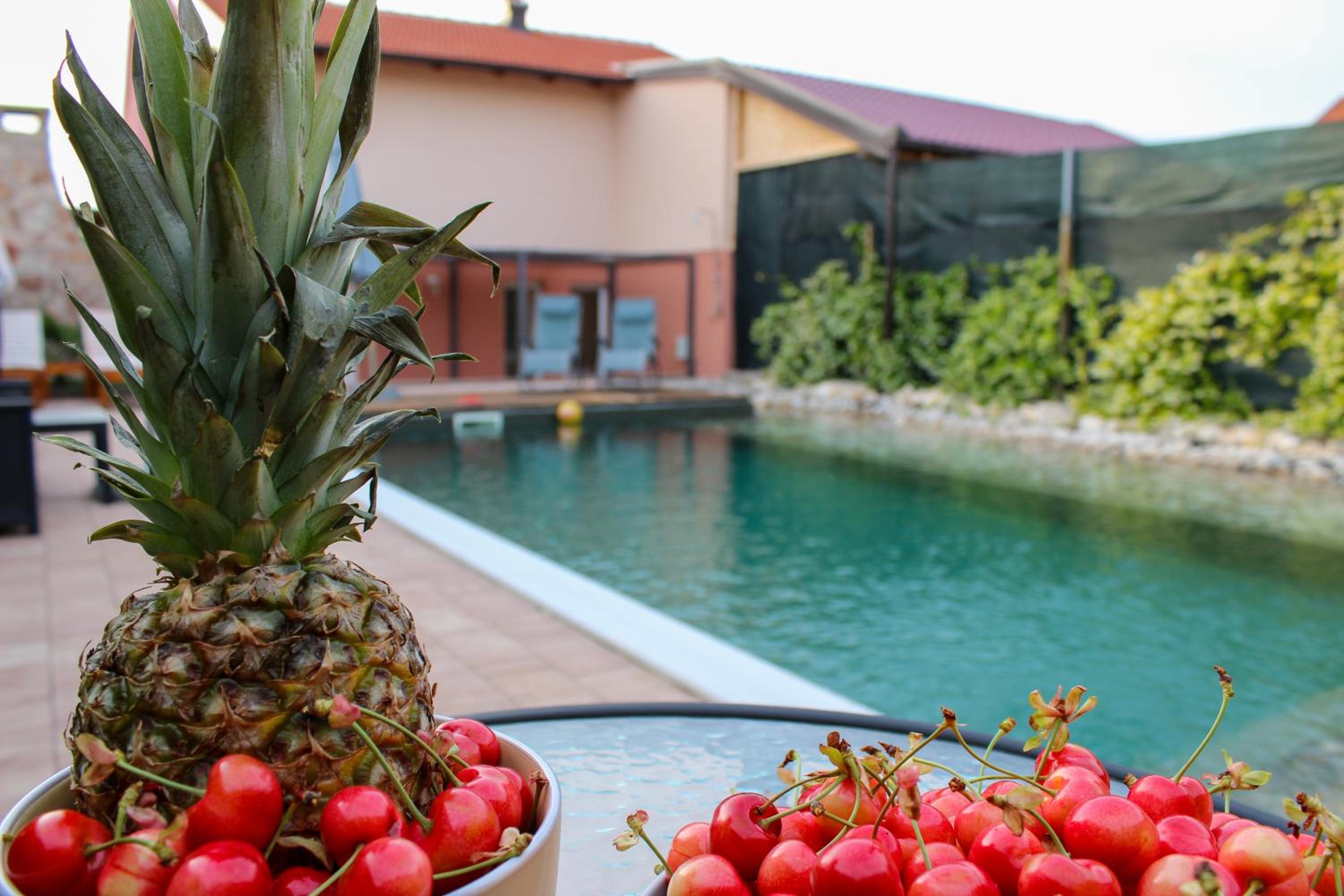 Villa Bali - Aladinici