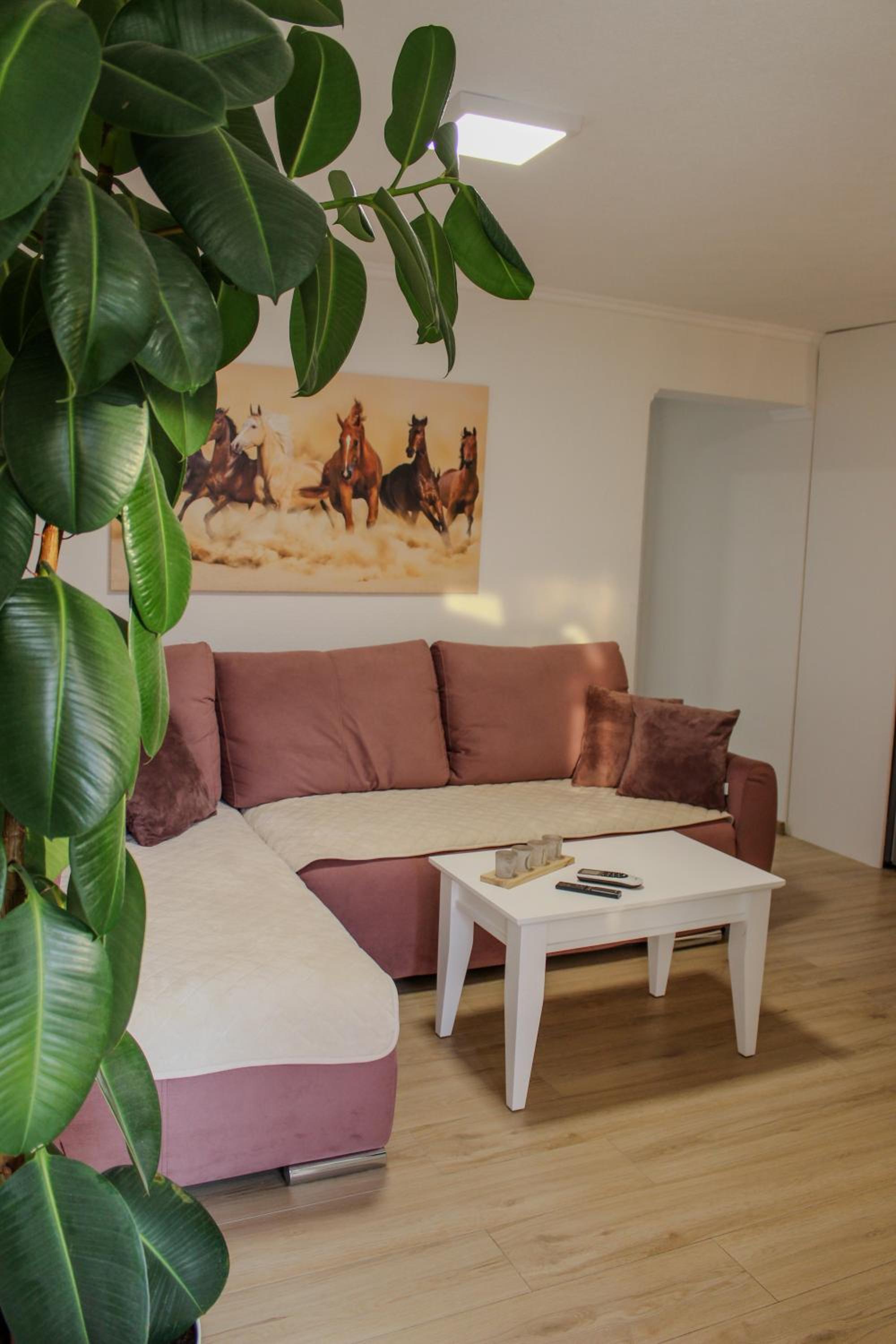 Villa Bali - Aladinici