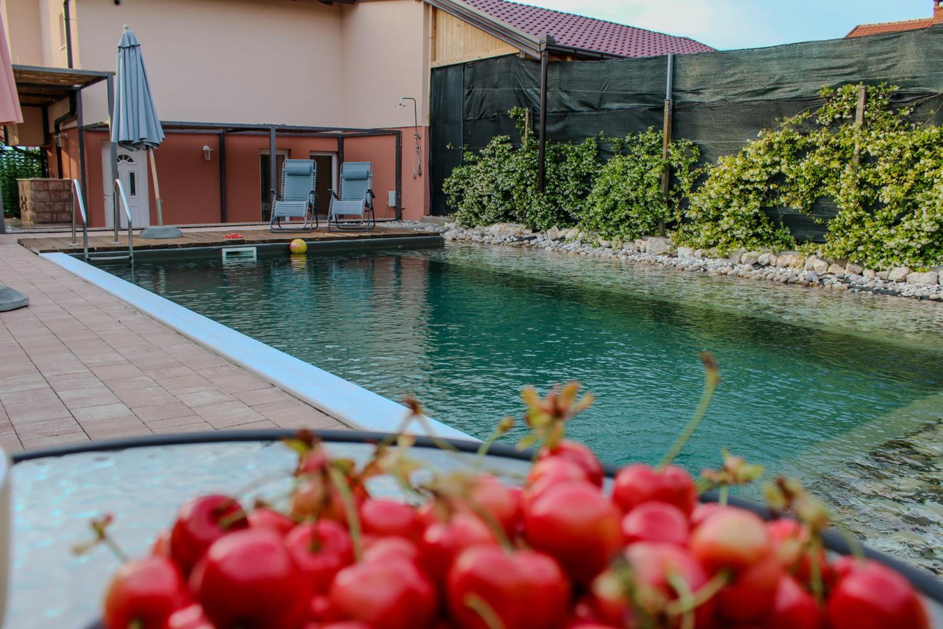 Villa Bali - Aladinici