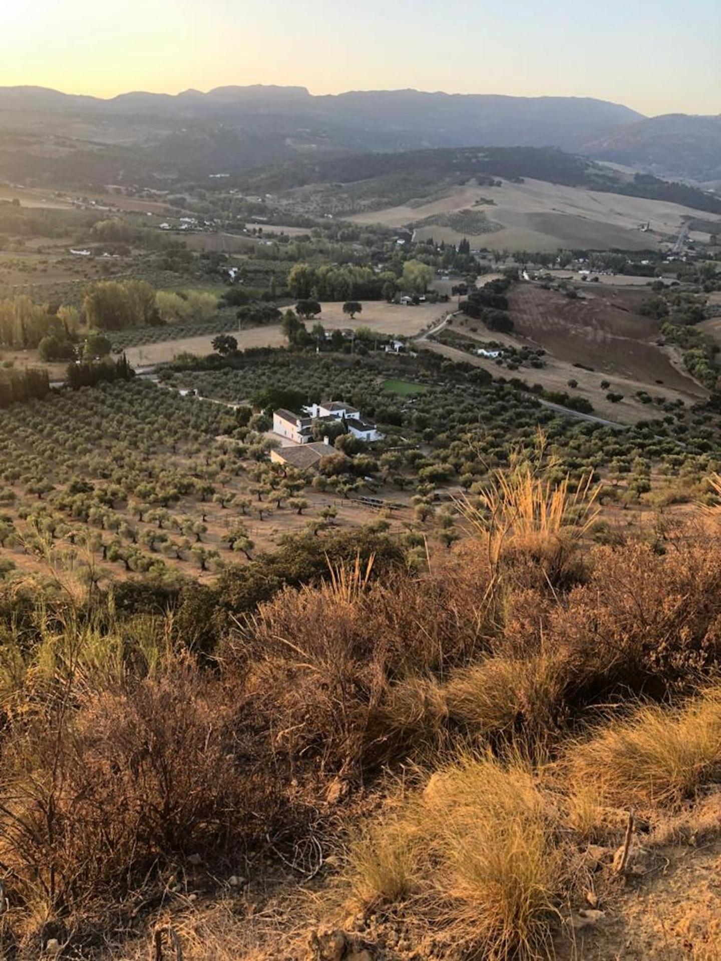 Finca La Marquesa - Luxury Villa in Ronda