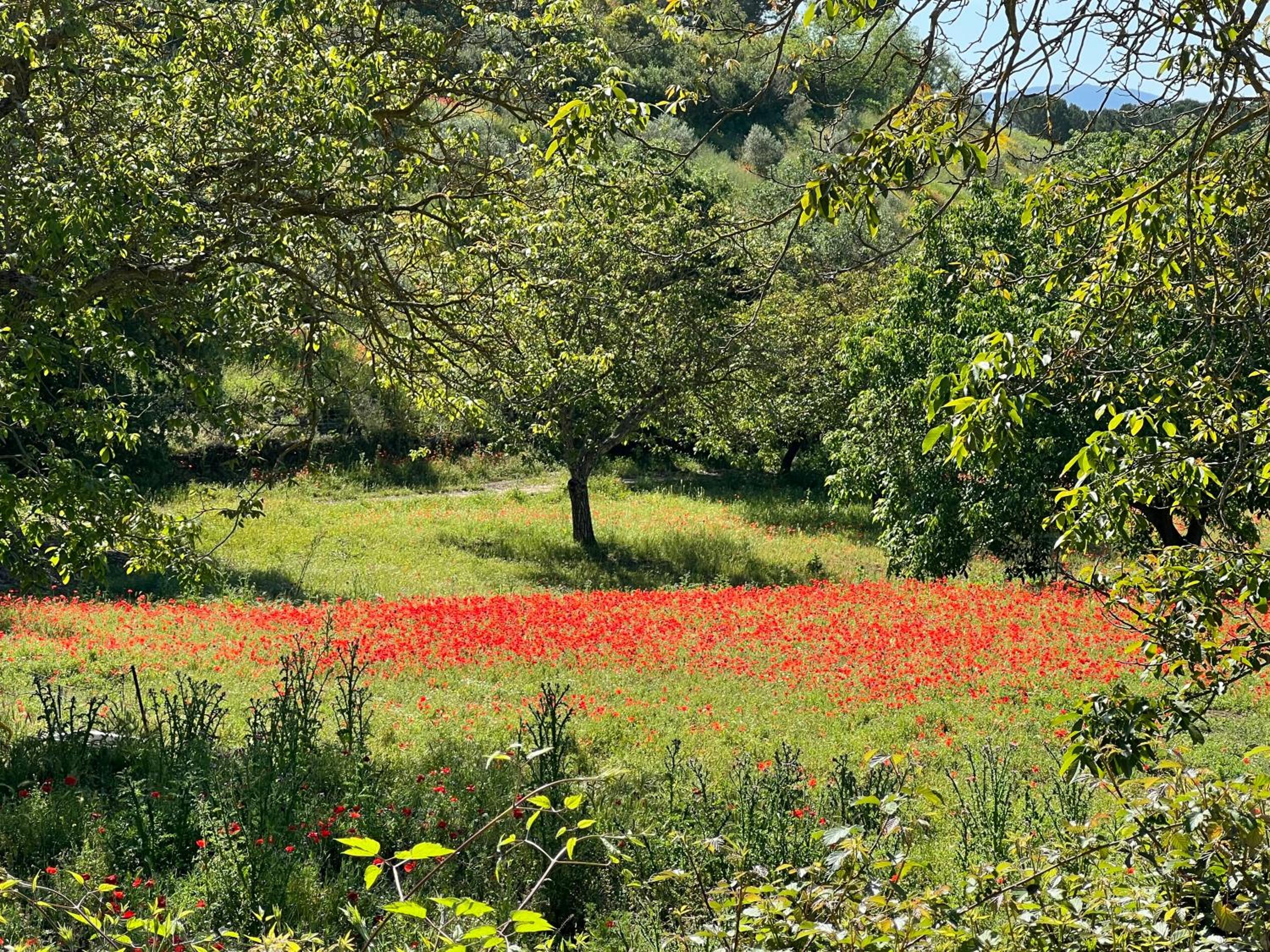 Finca La Marquesa - Luxury Villa in Ronda