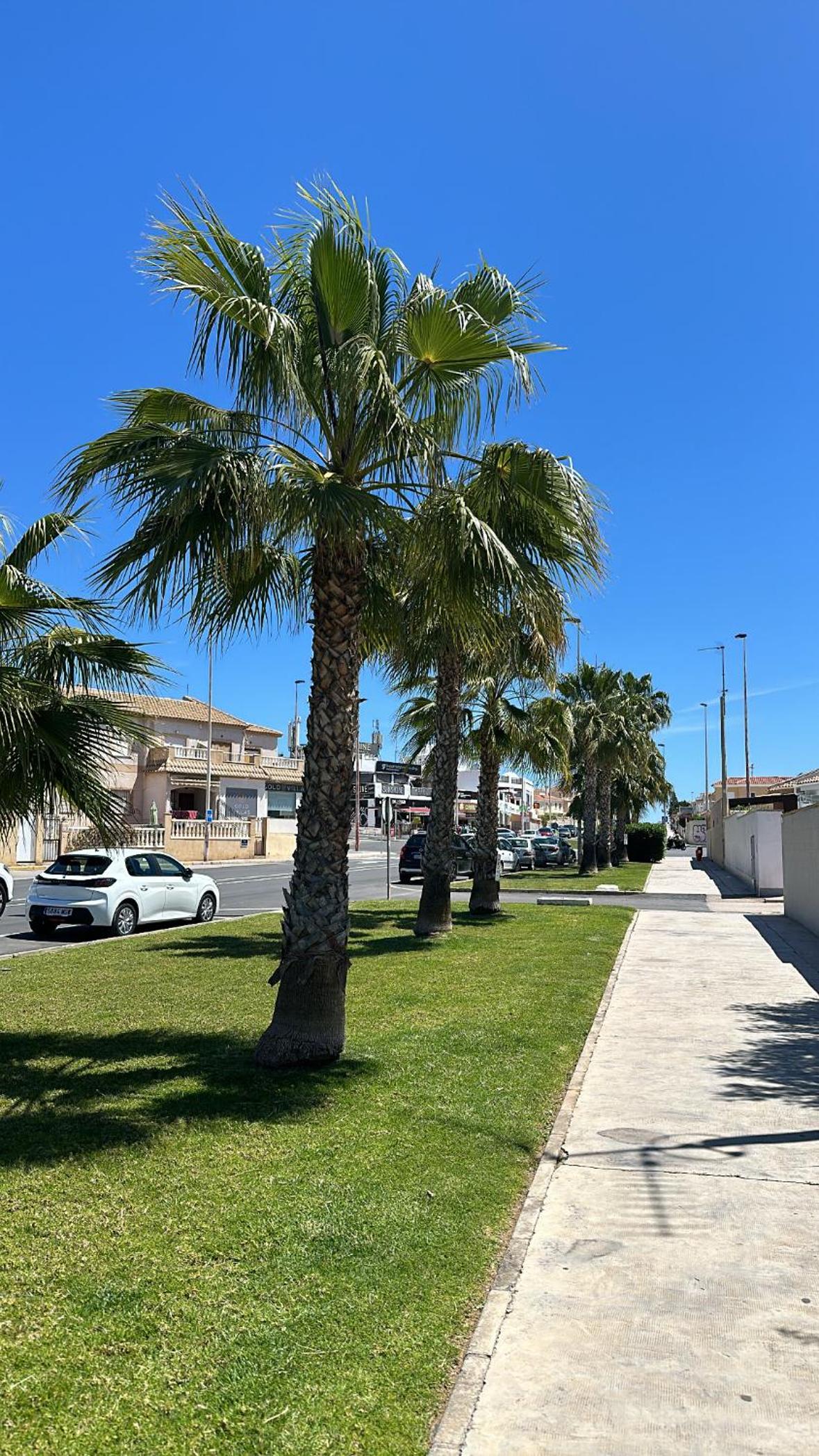 Bungalow Aguas Nuevas Costa del Cezar