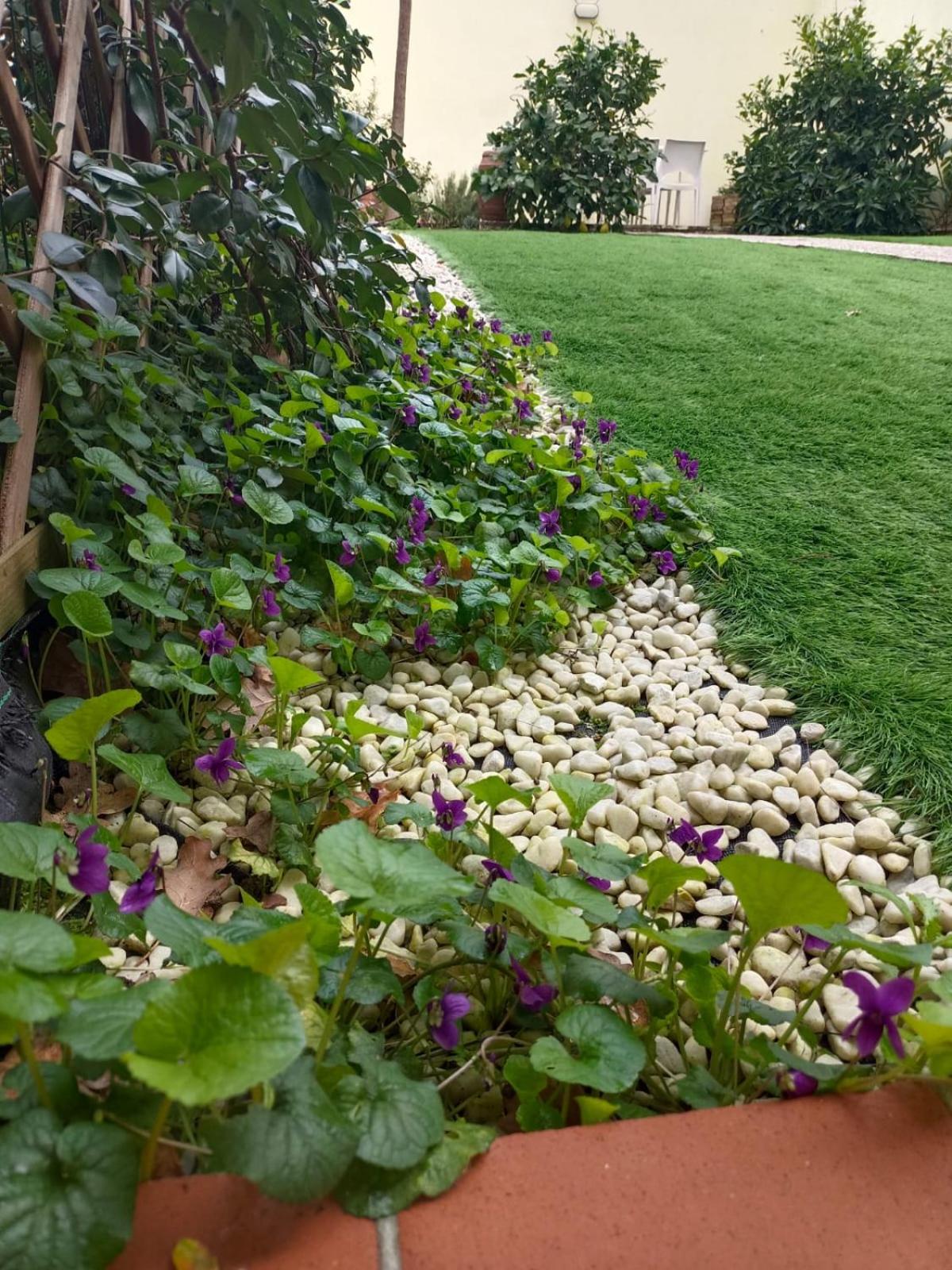 Movie Star Apartment with garden
