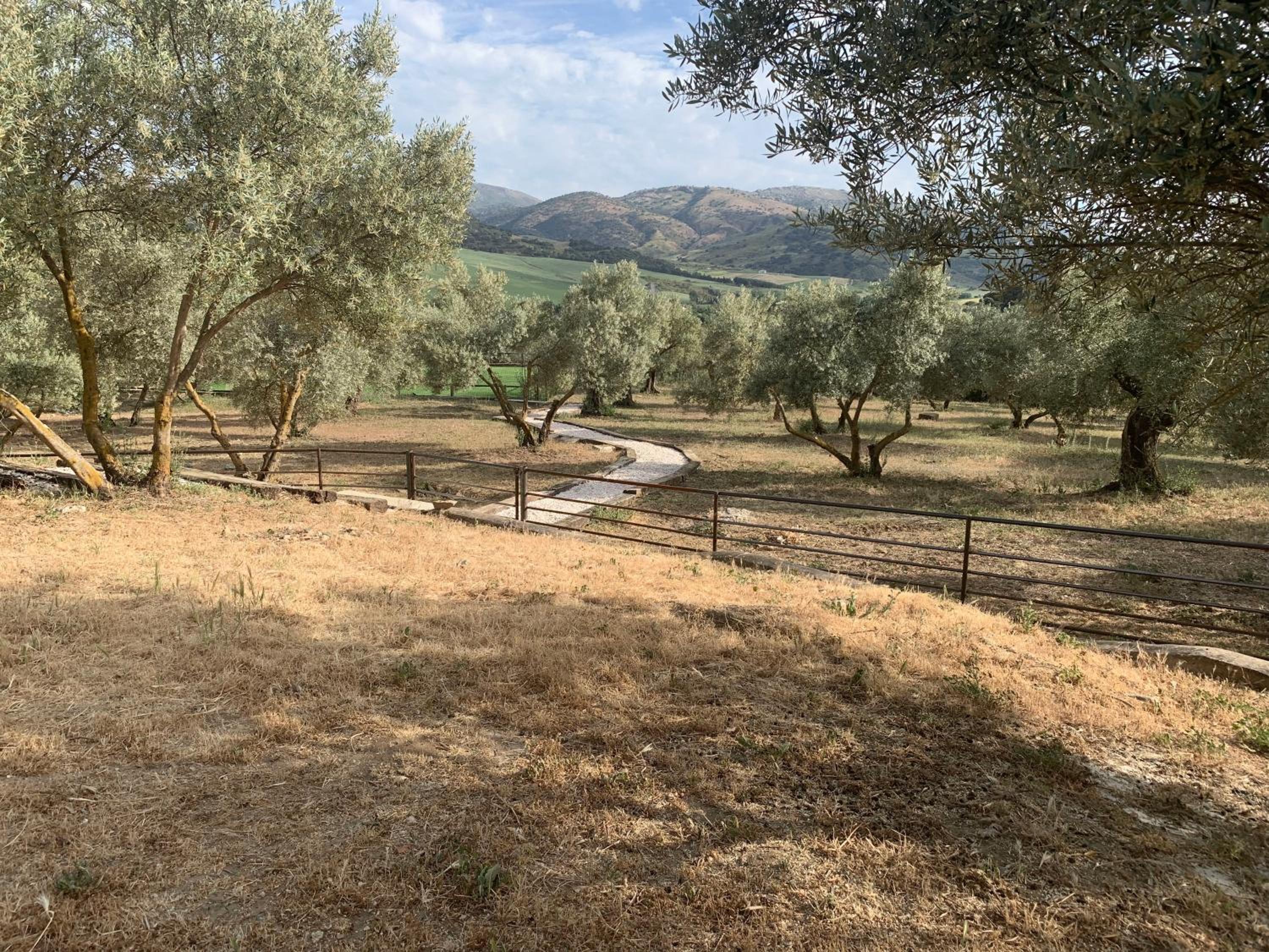 Finca La Marquesa - Luxury Villa in Ronda