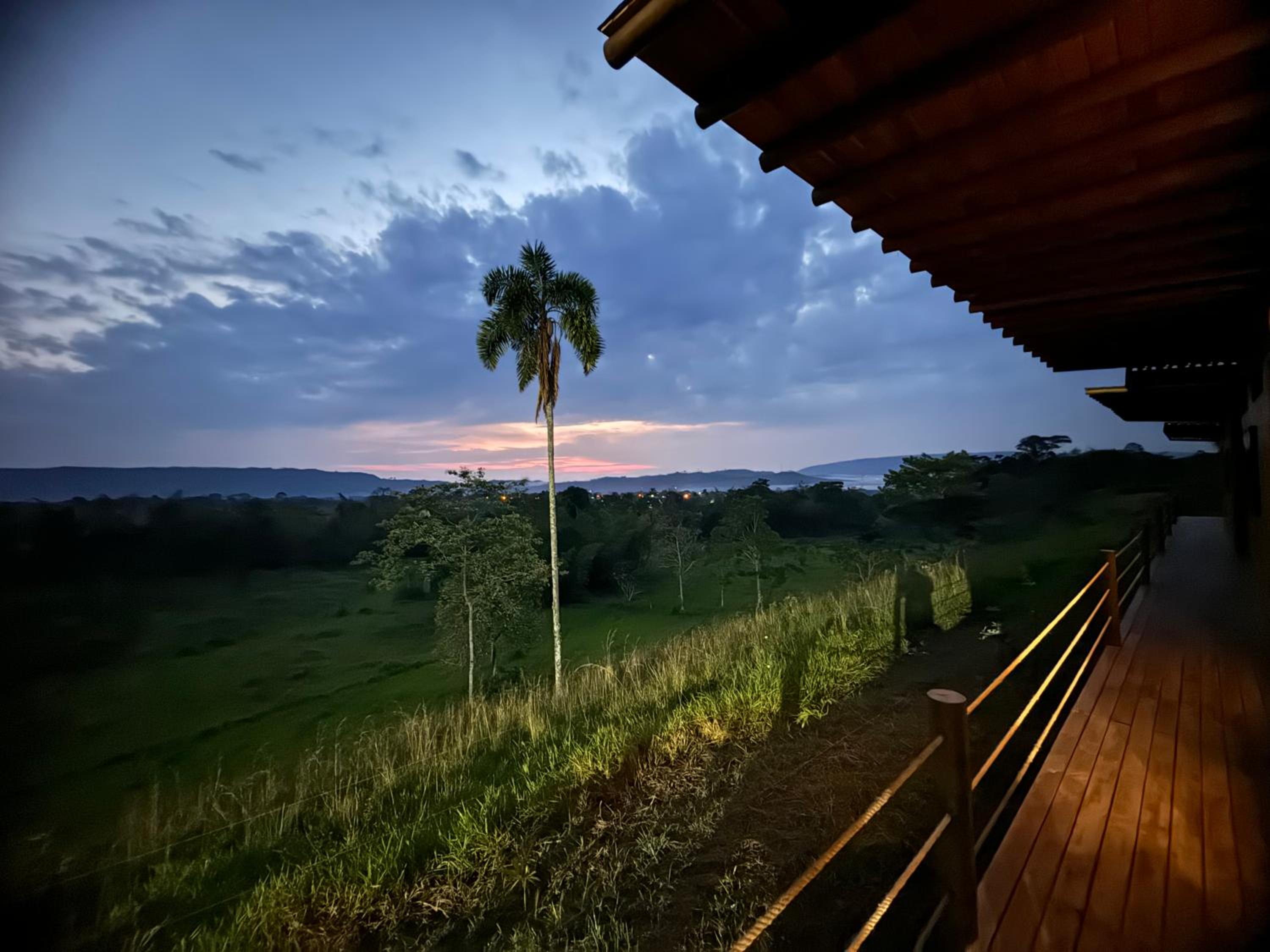 AVONLEA luxury