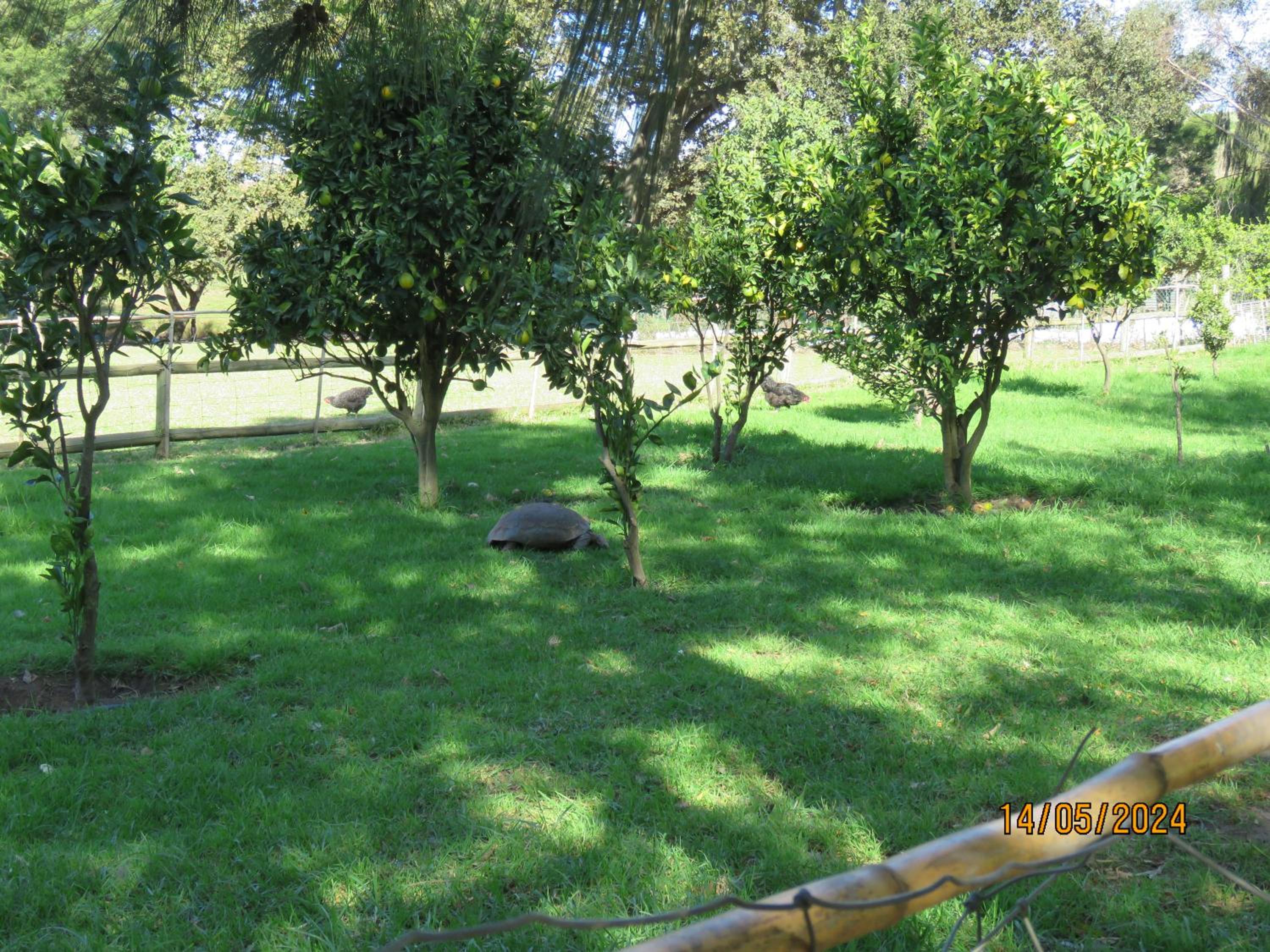 Photo 17