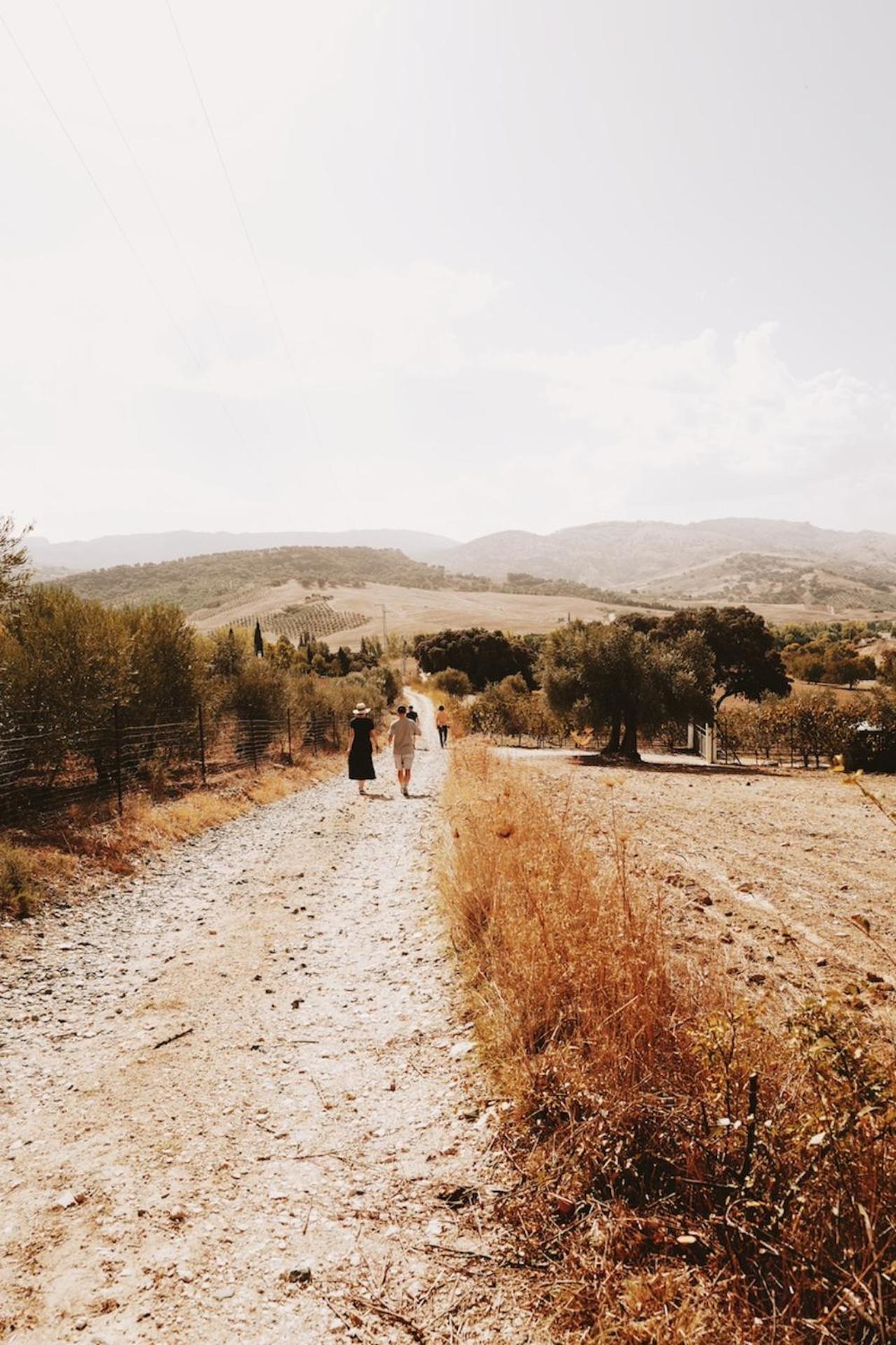 Finca La Marquesa - Luxury Villa in Ronda