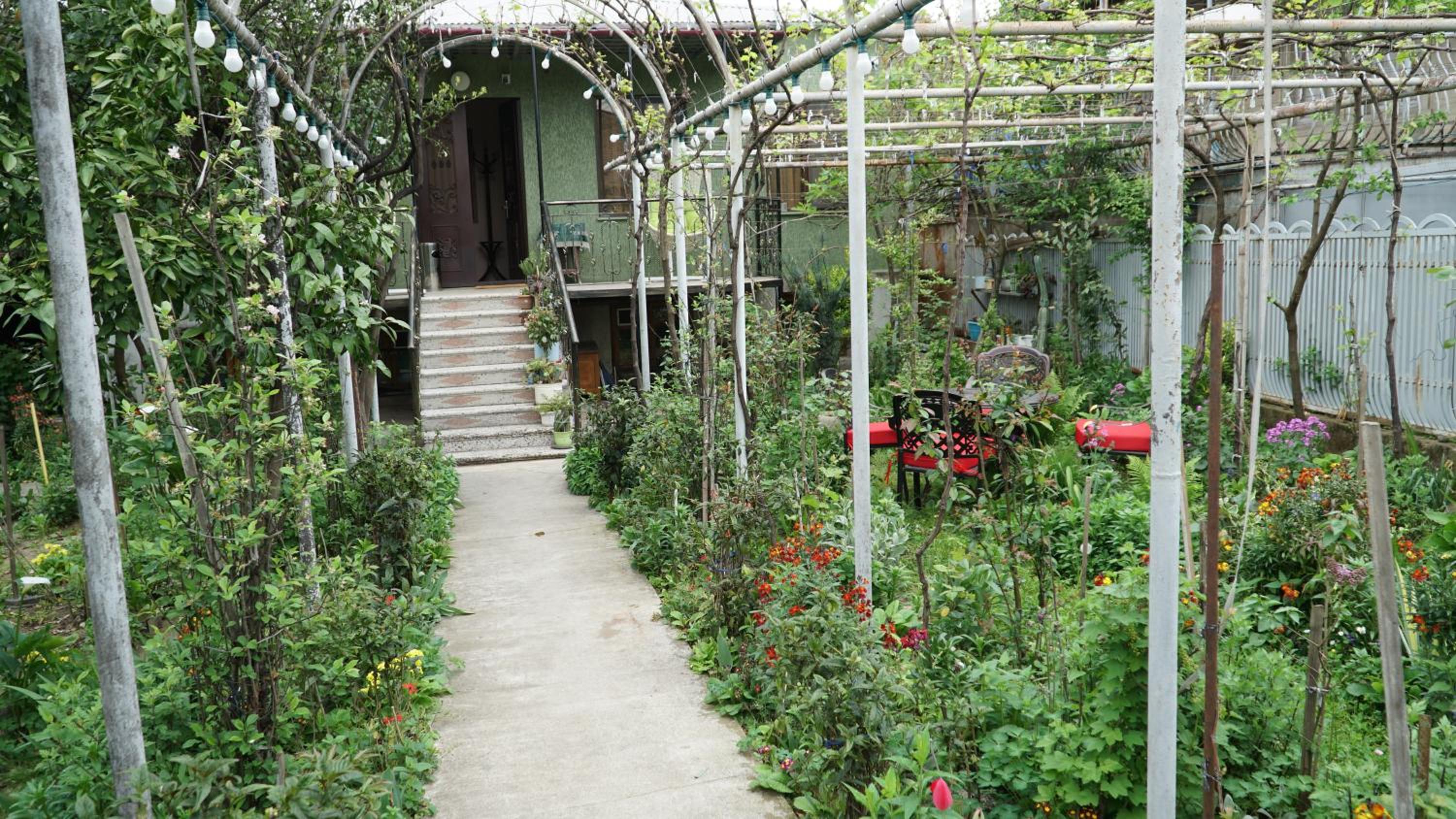 Photo 7