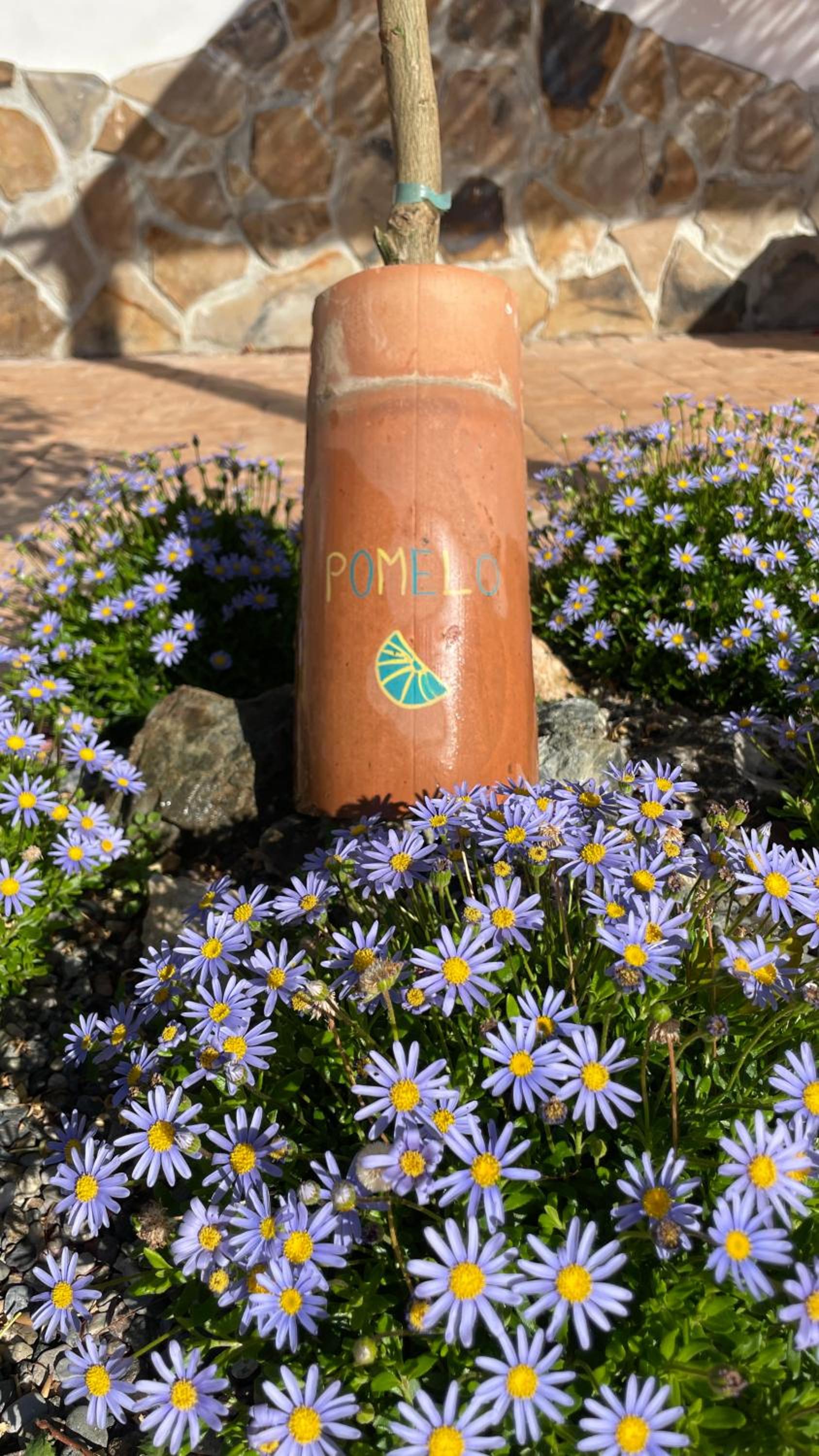 Finca Valle Verde