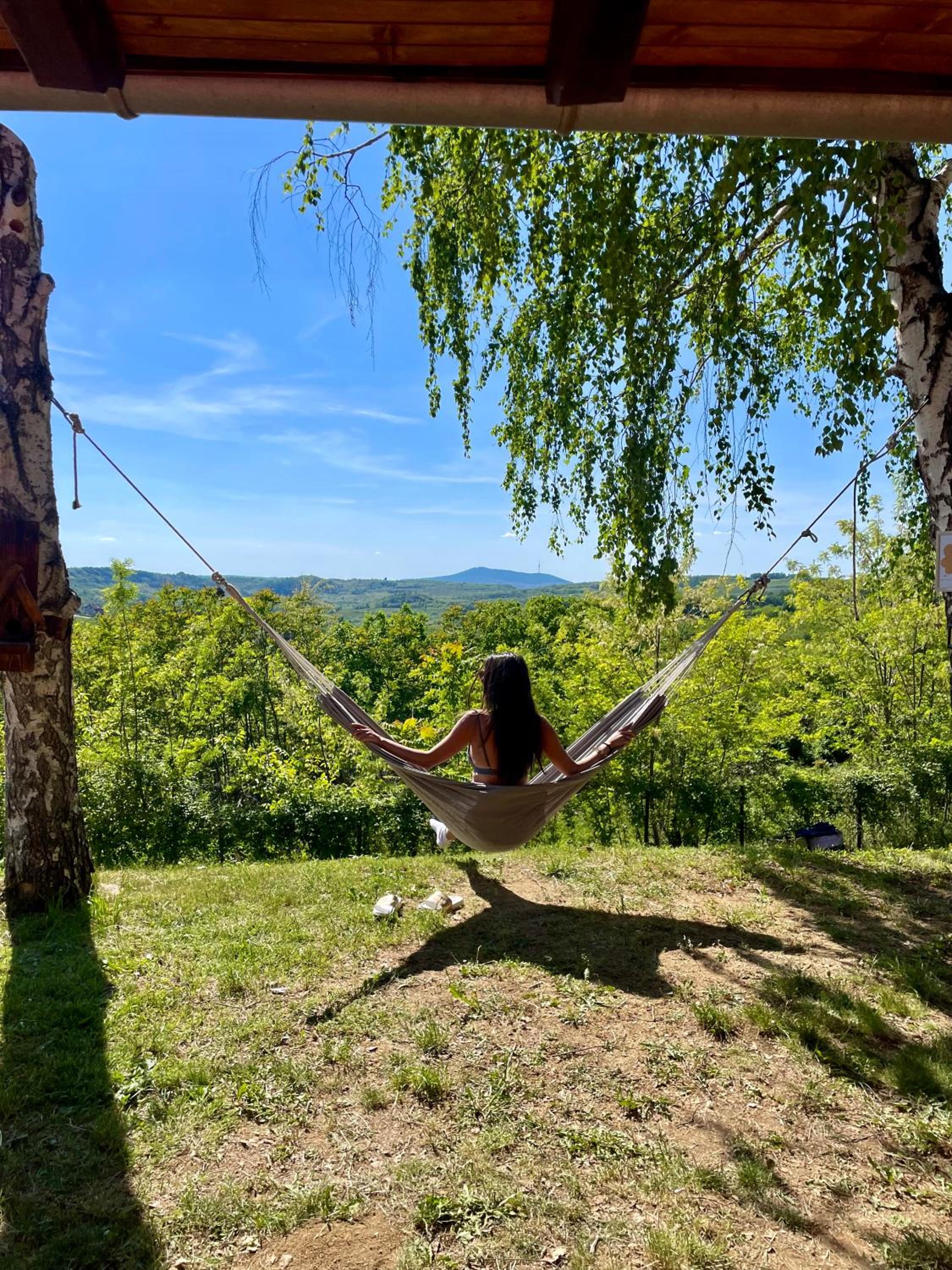 Kuca na dan sa bazenom Hedonist place view 2