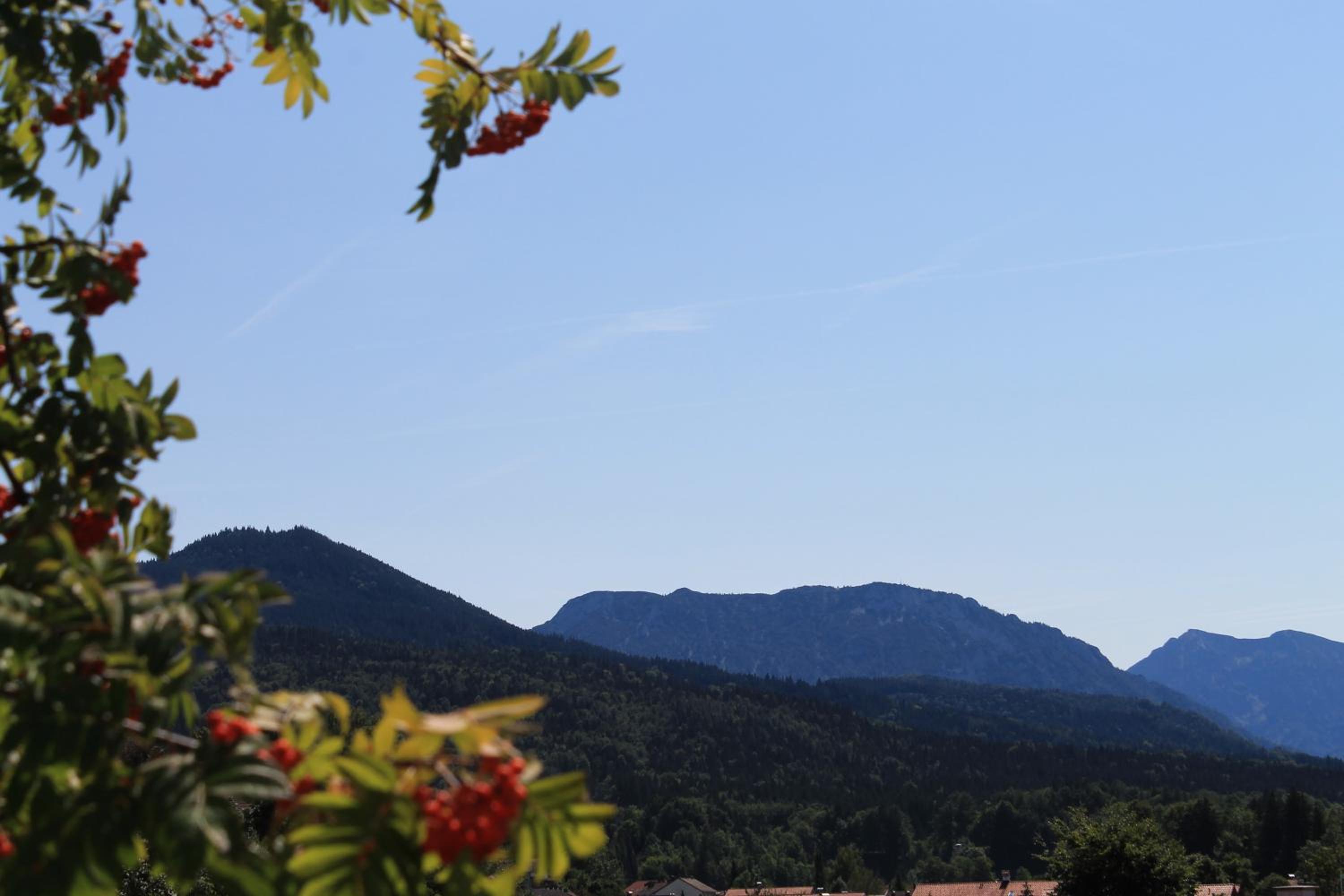Hotel Garni Edelweiß, photo 29