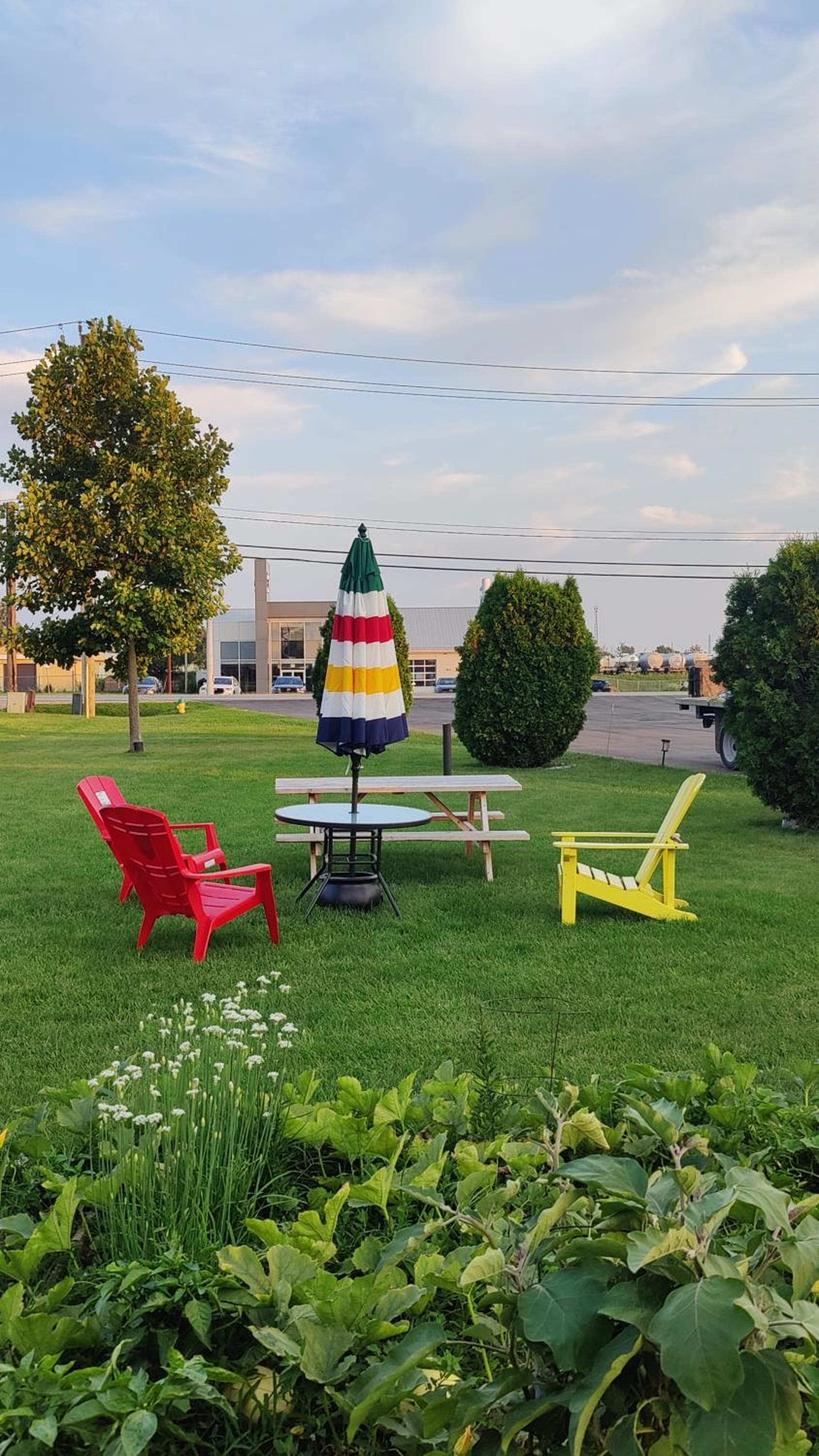 Tulip Motel