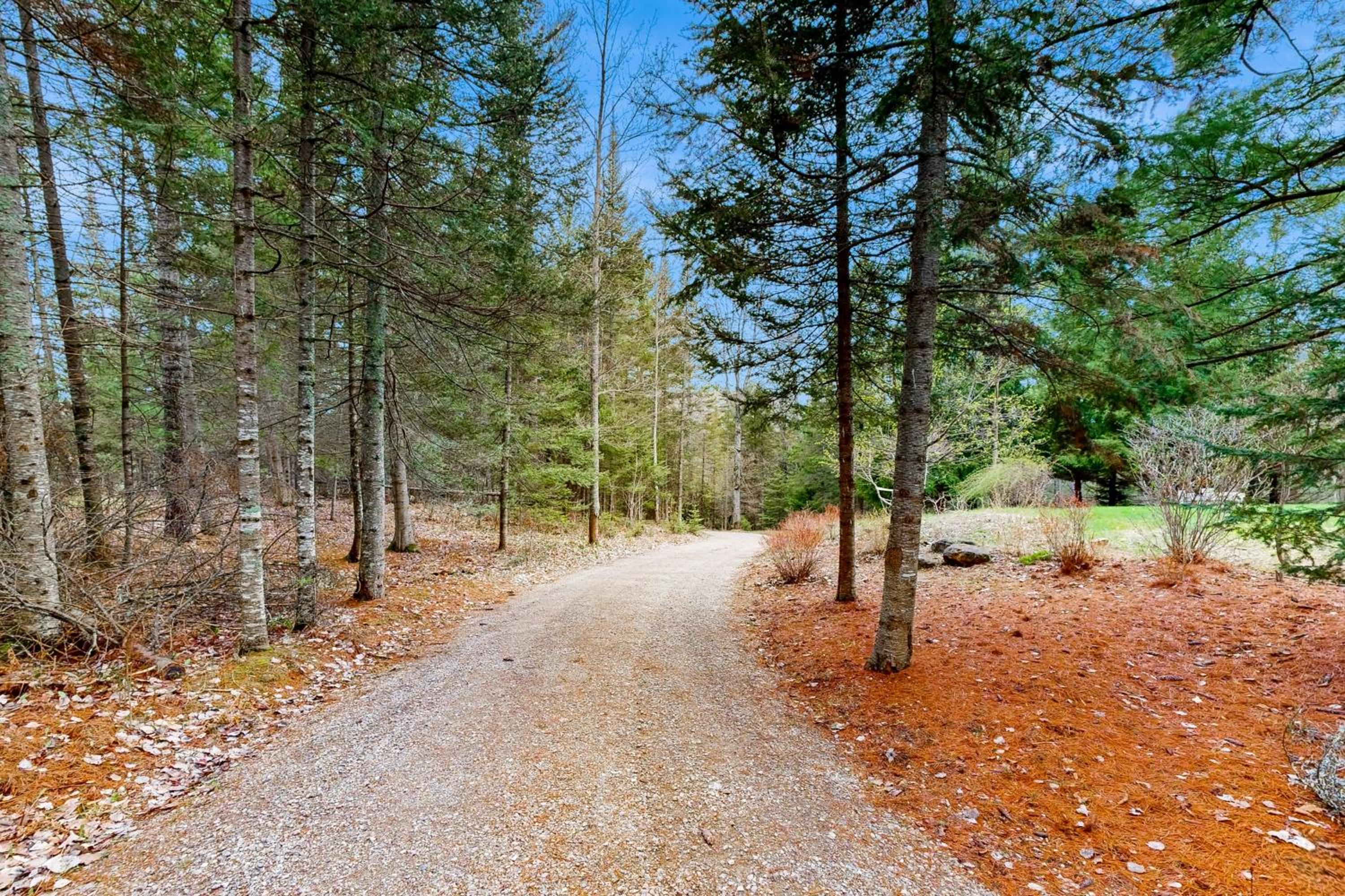 Steps to Sturgeon River! Dog-Friendly Nature Haven