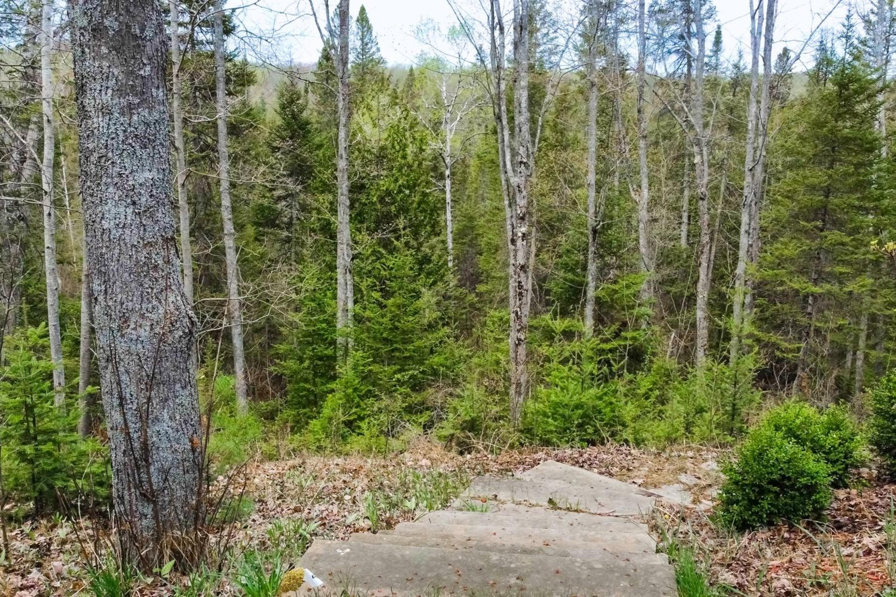 Steps to Sturgeon River! Dog-Friendly Nature Haven