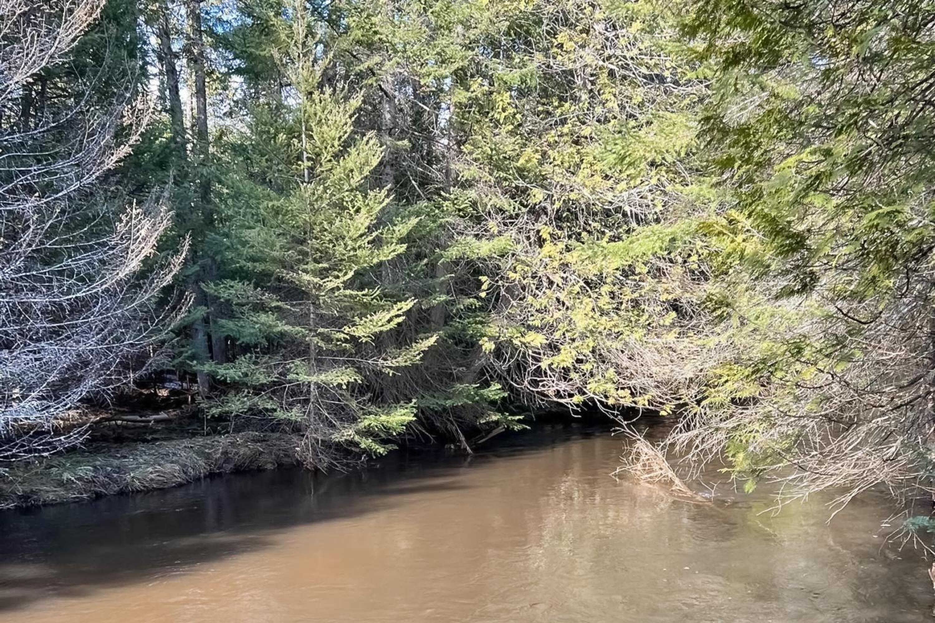 Steps to Sturgeon River! Dog-Friendly Nature Haven