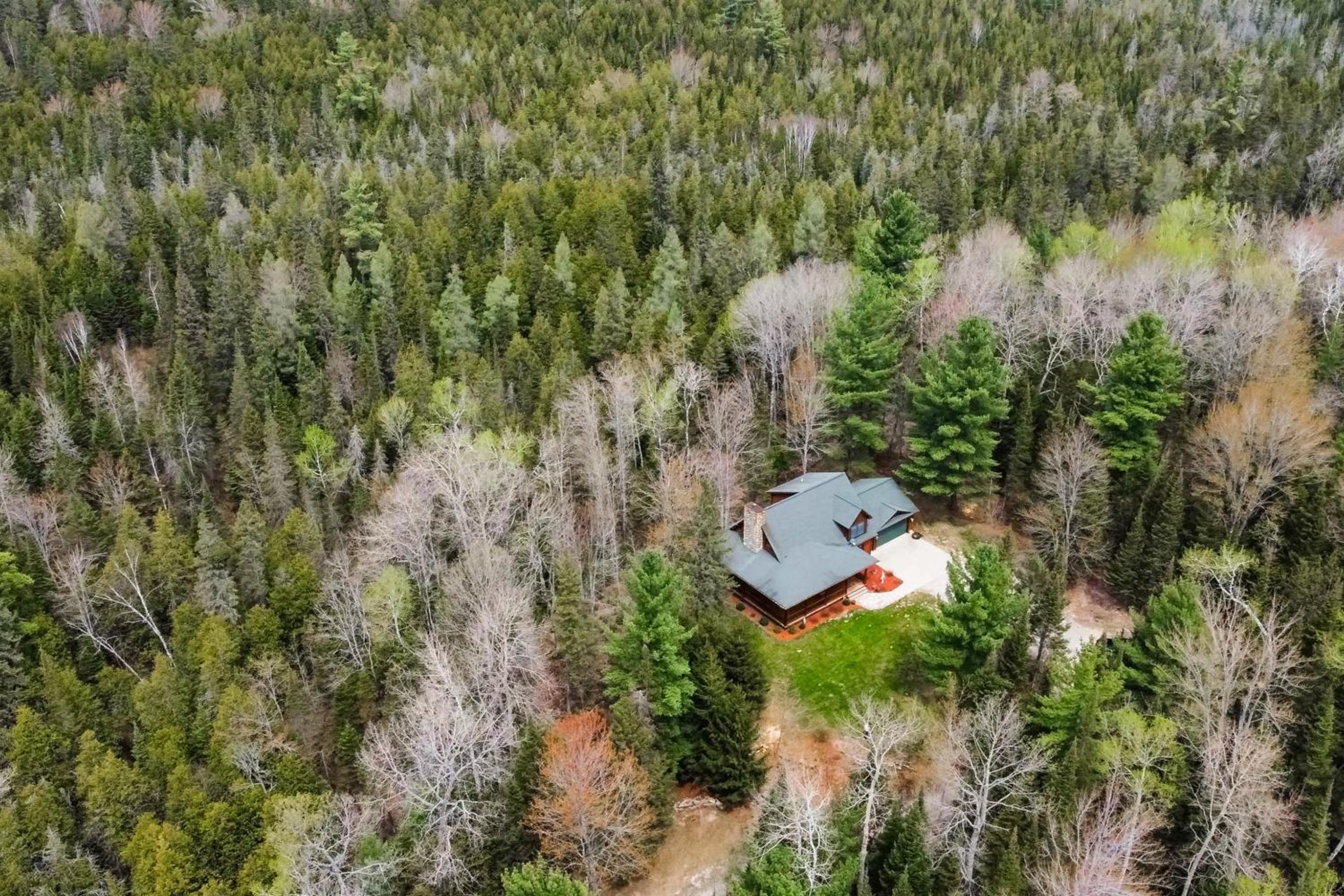 Steps to Sturgeon River! Dog-Friendly Nature Haven