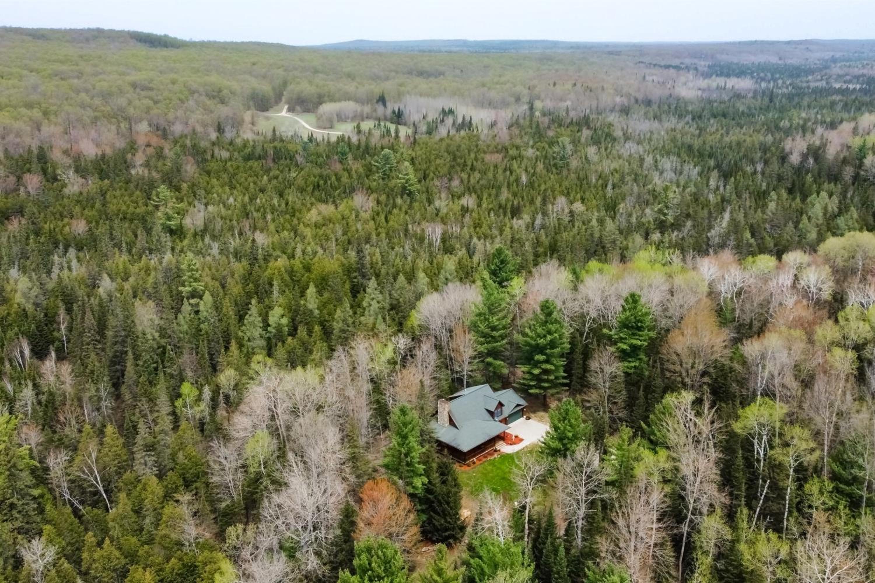 Steps to Sturgeon River! Dog-Friendly Nature Haven
