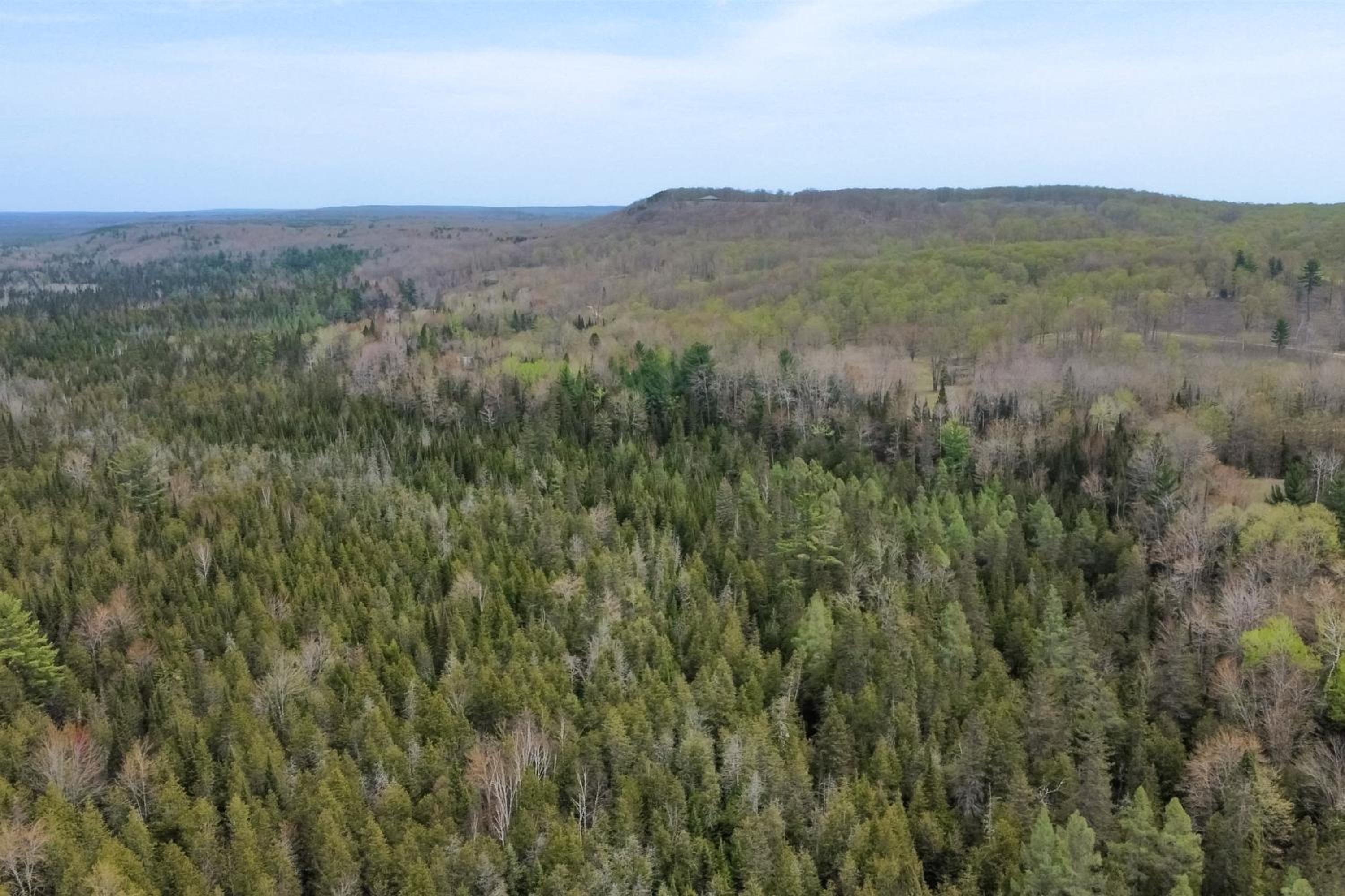 Steps to Sturgeon River! Dog-Friendly Nature Haven