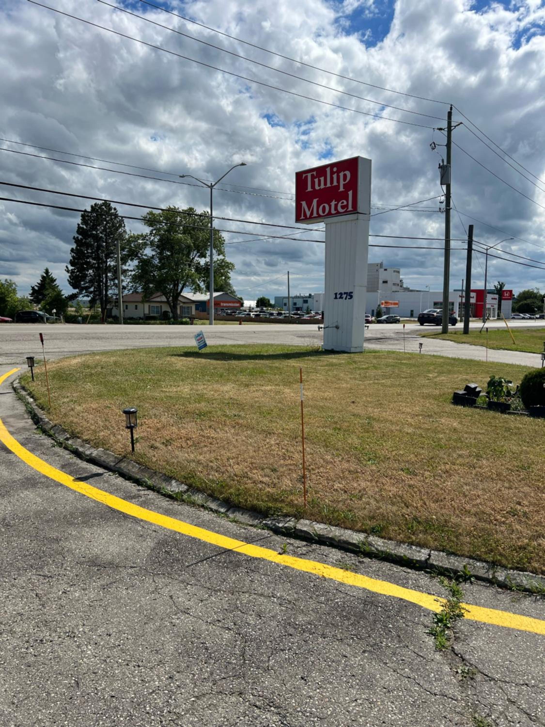 Tulip Motel