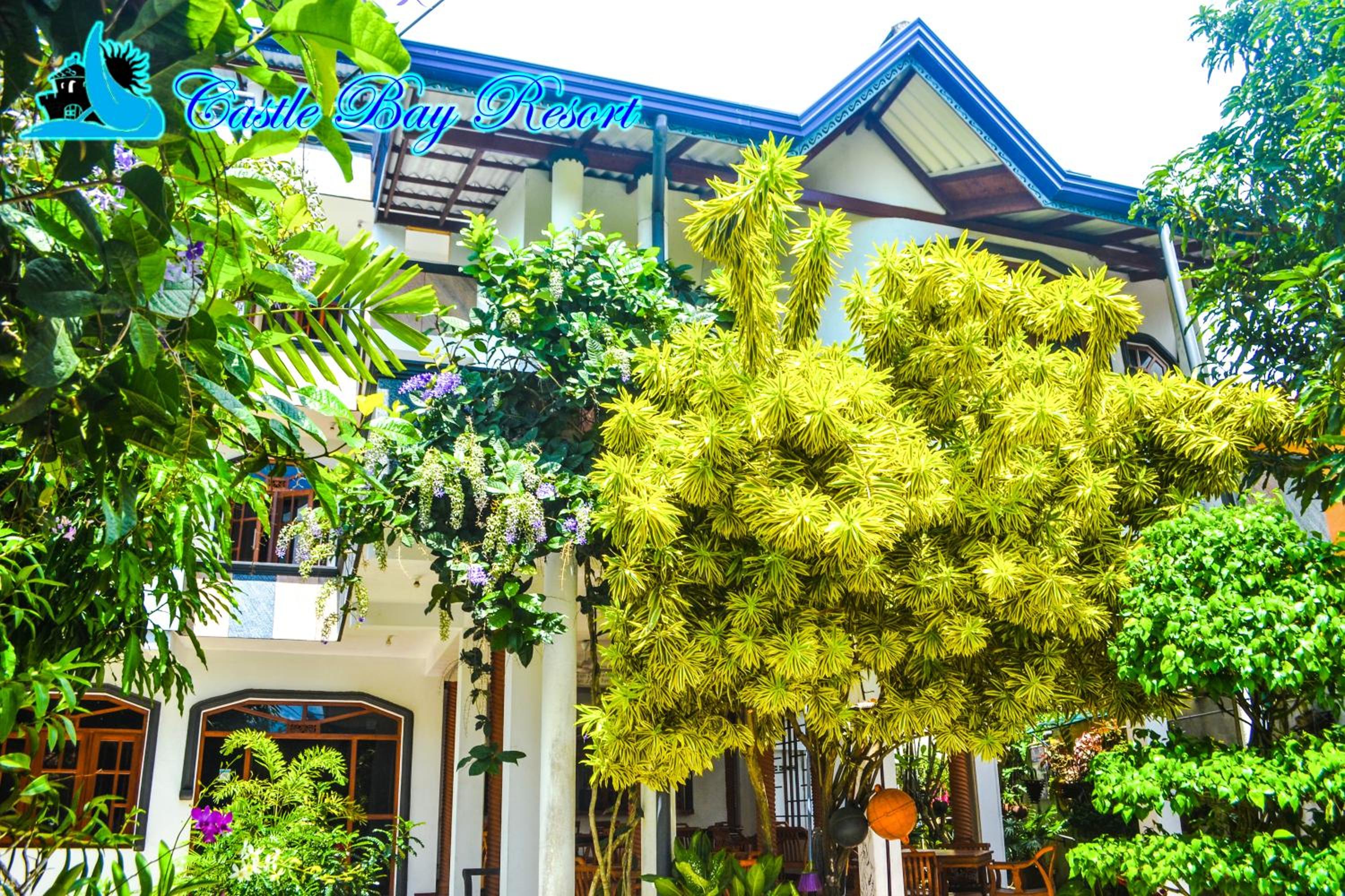 Castle Bay Resort