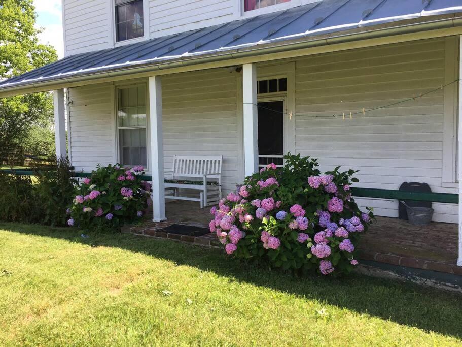 Historic 1850s Home at the Base of Jump Mountain Near Lexington view 3