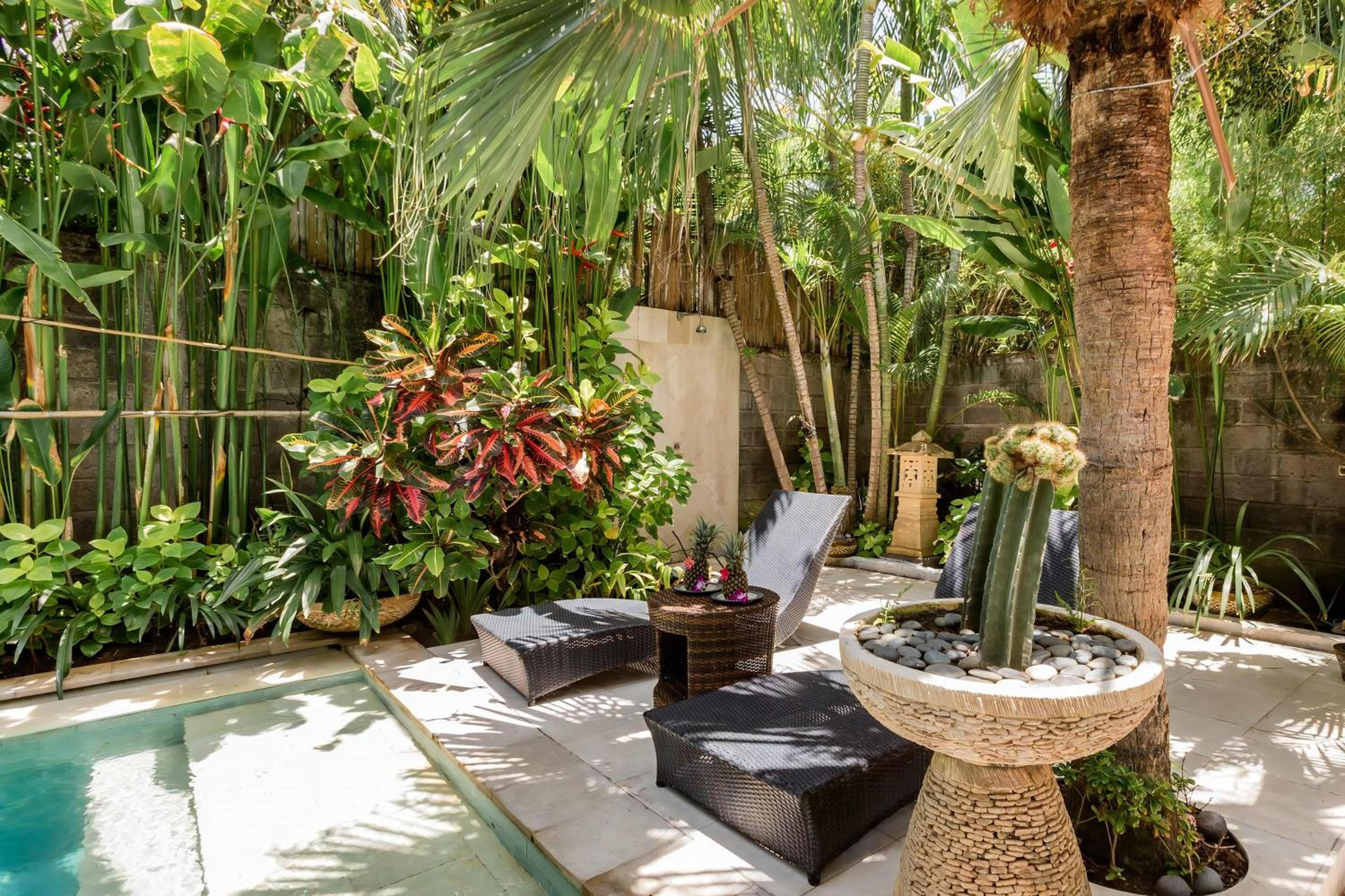 Ocean Luxury Villas - Seminyak