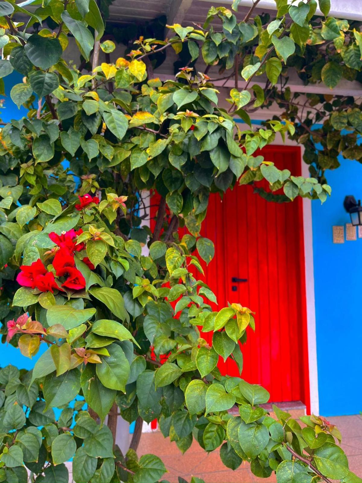 Pequi hostel