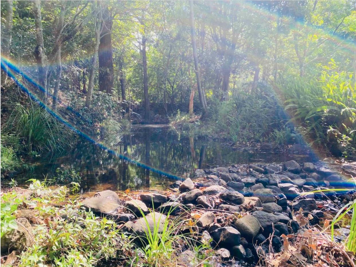 Crystal Cottage Retreat- Escape to the Hinterland!