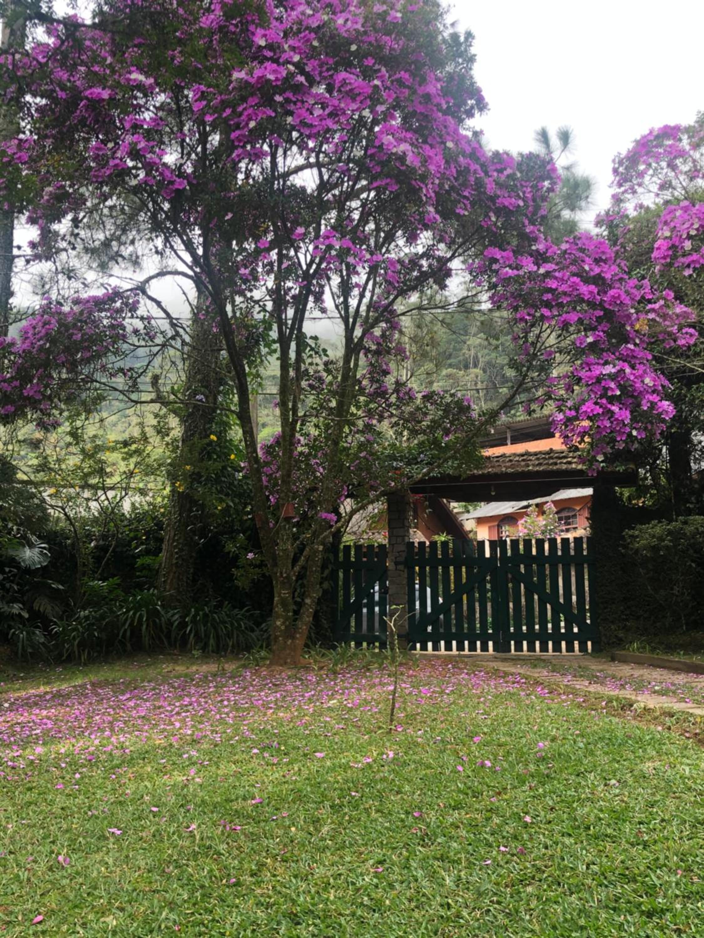 SITIO SIMPLESMENTE DEMAIS